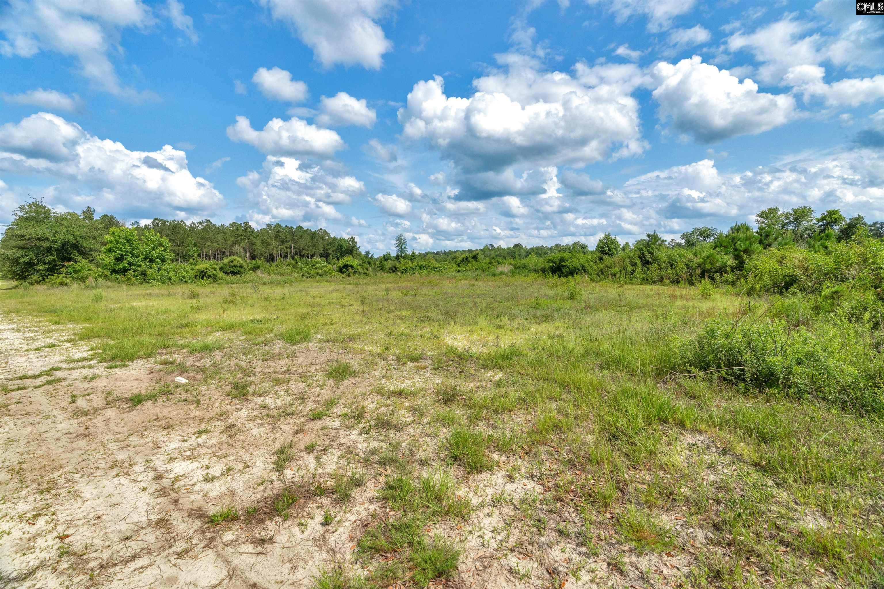 0000 N Brewington Road UNIT #2 Manning, SC 29102