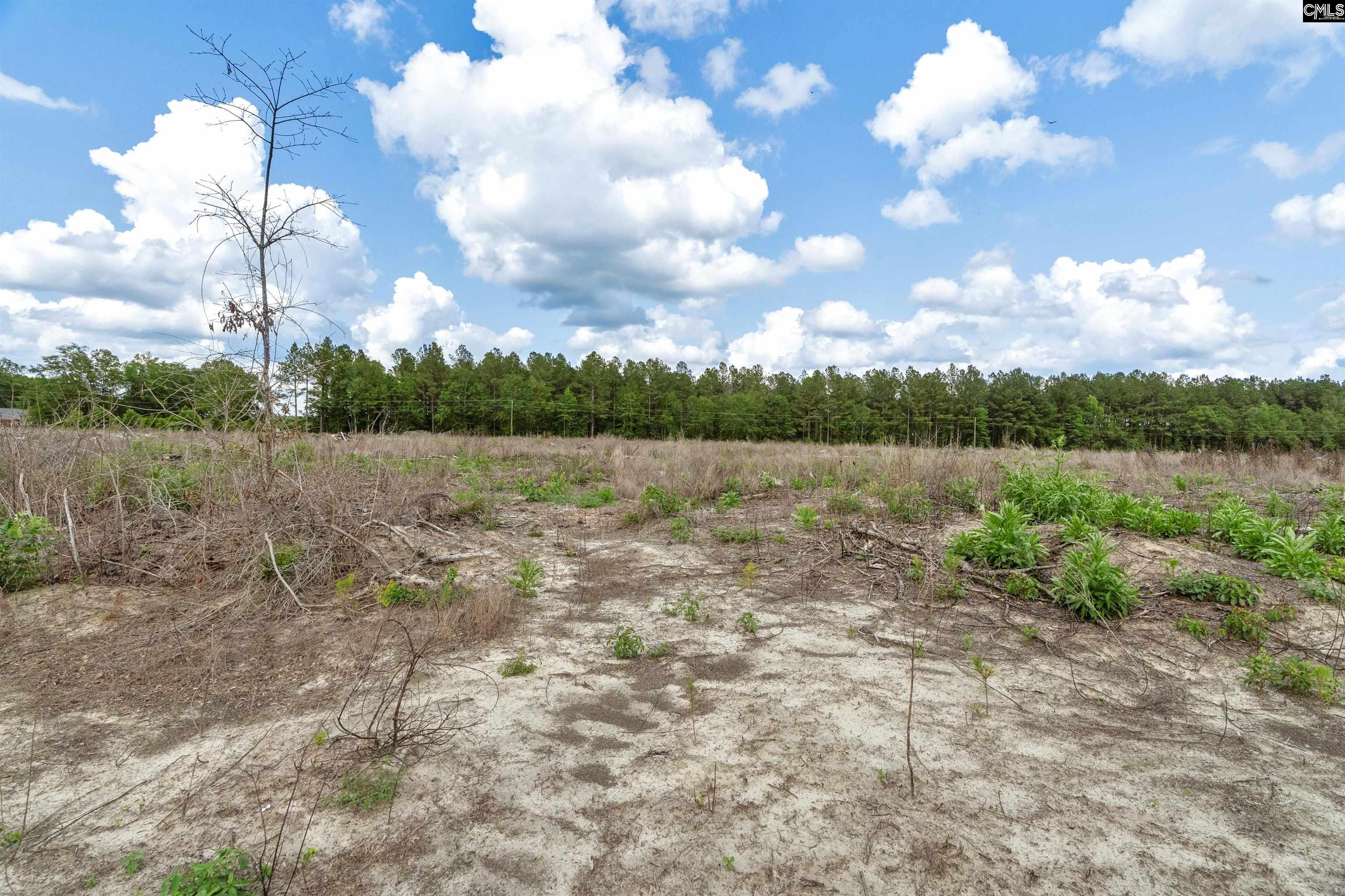0000 N Brewington Road UNIT #2 Manning, SC 29102