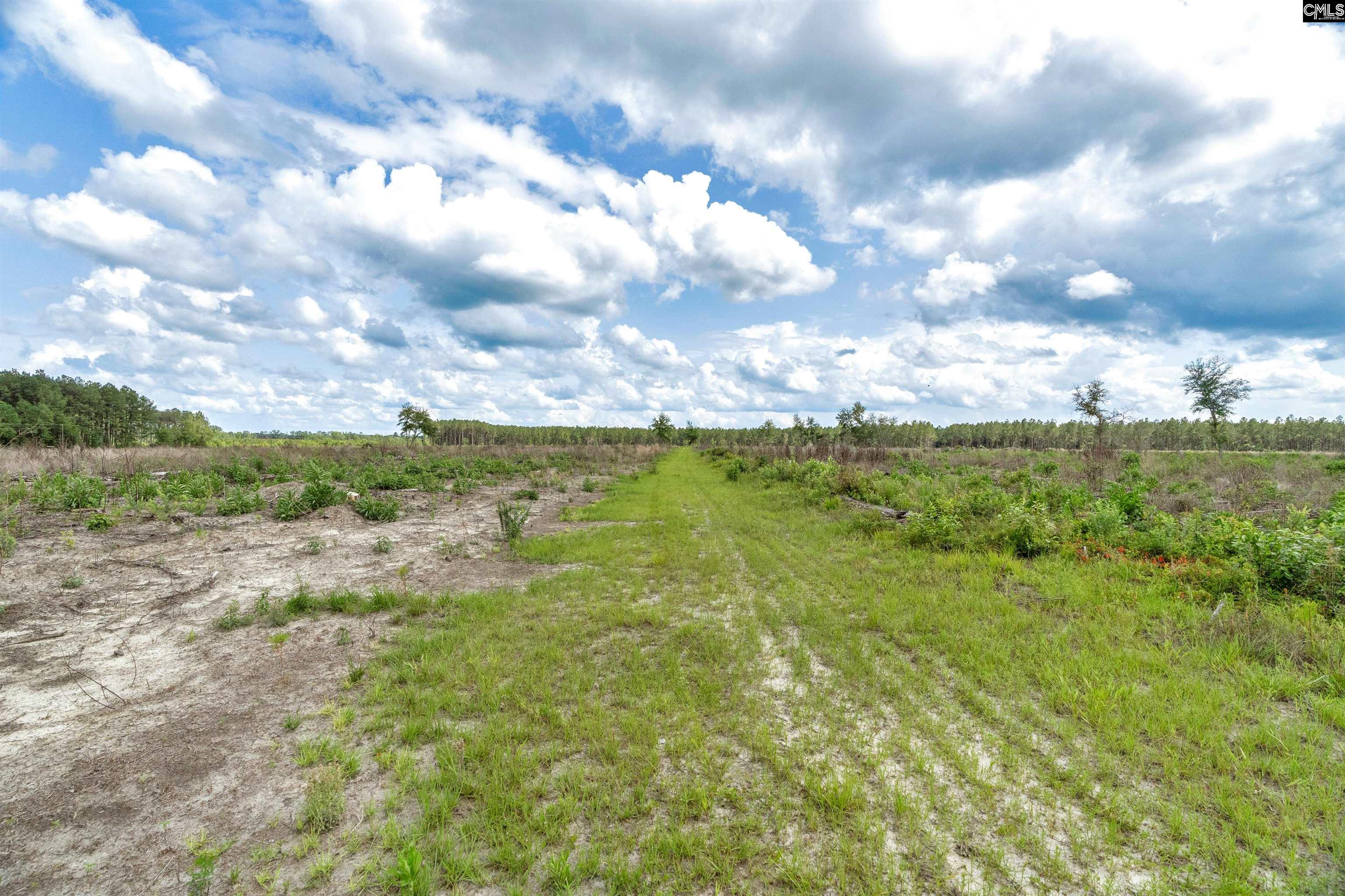 0000 N Brewington Road UNIT #2 Manning, SC 29102