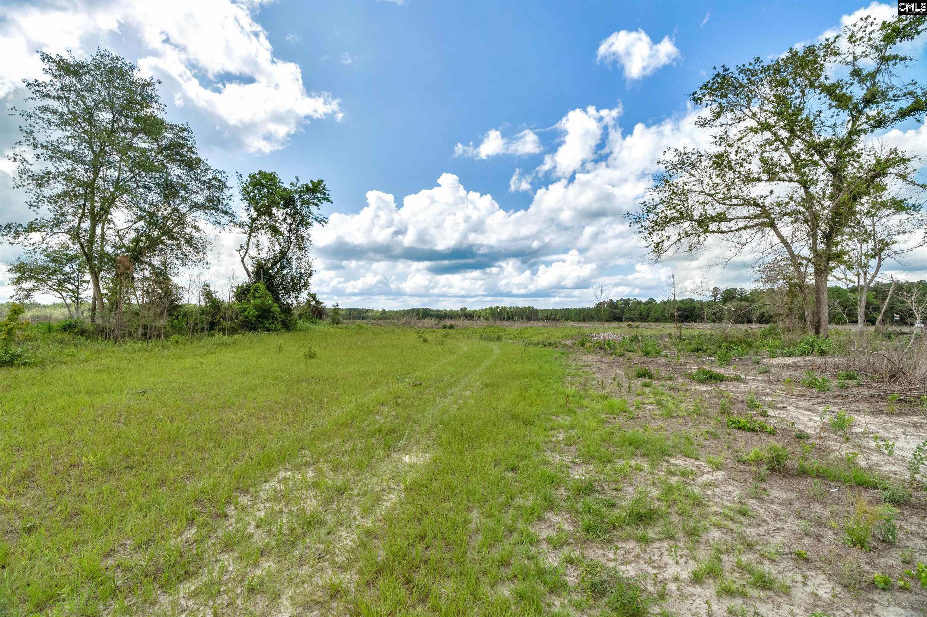 0000 N Brewington Road UNIT #2 Manning, SC 29102