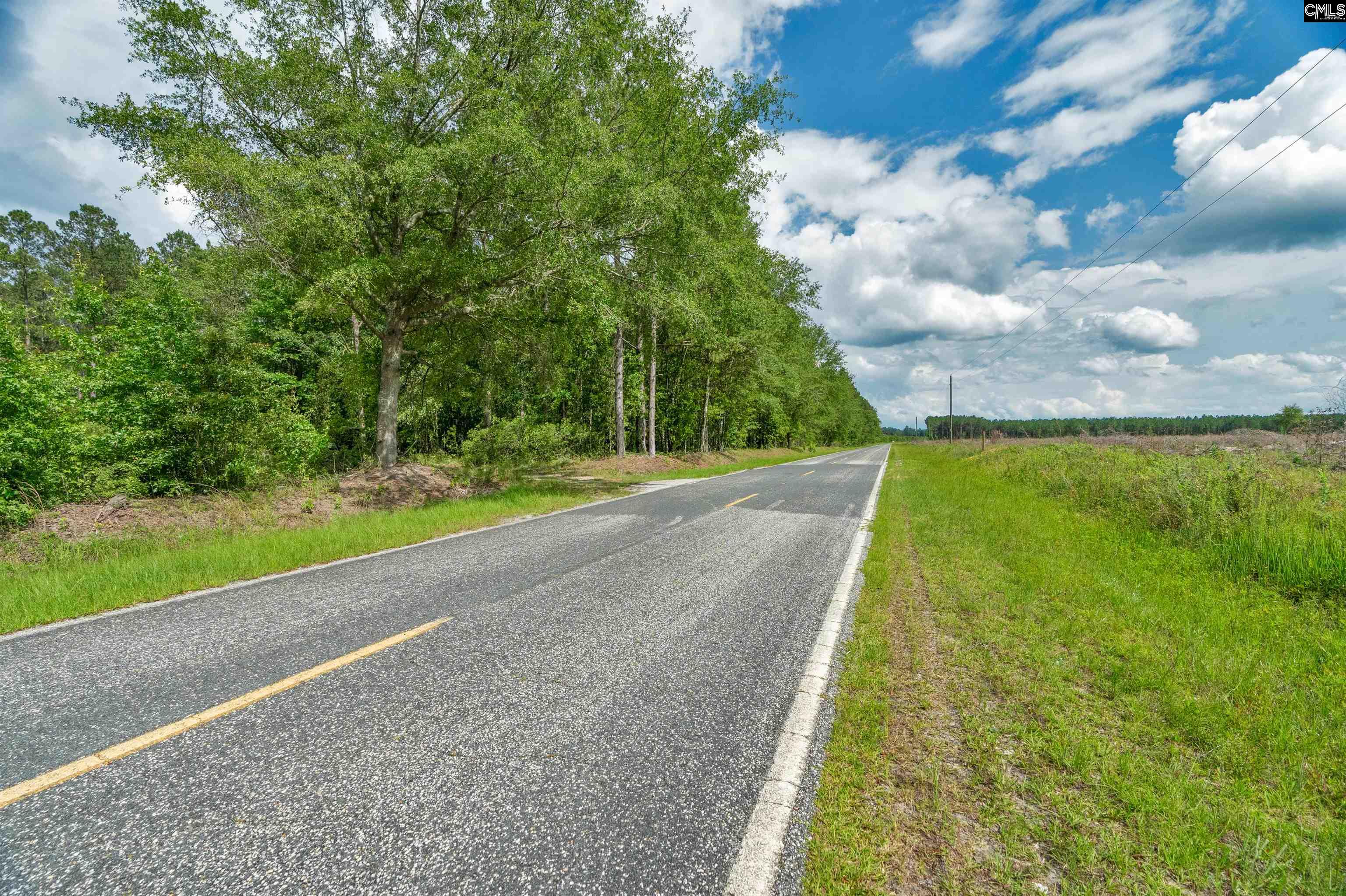 0000 N Brewington Road UNIT #2 Manning, SC 29102