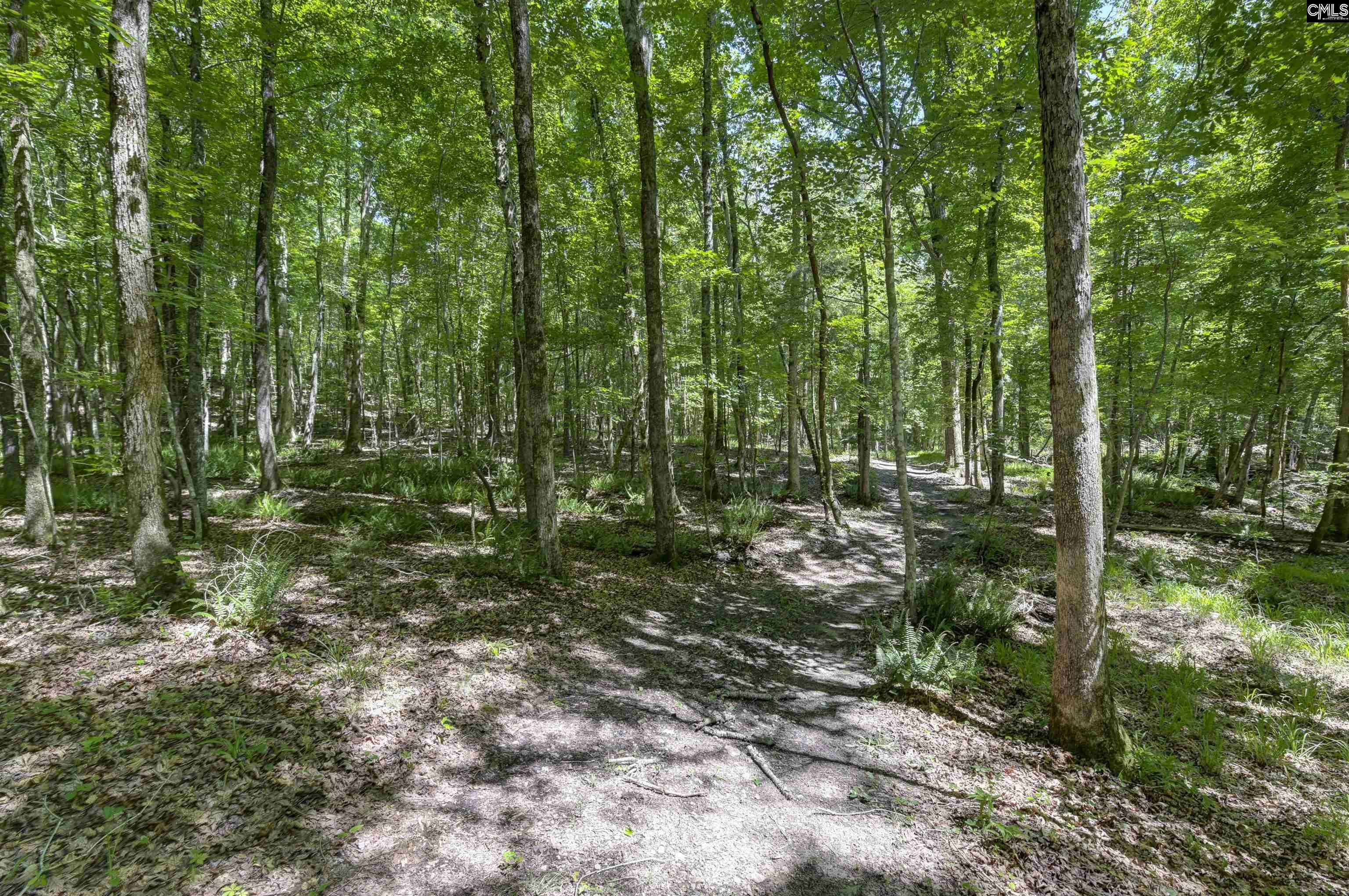 Fulmer Road Blythewood, SC 29016