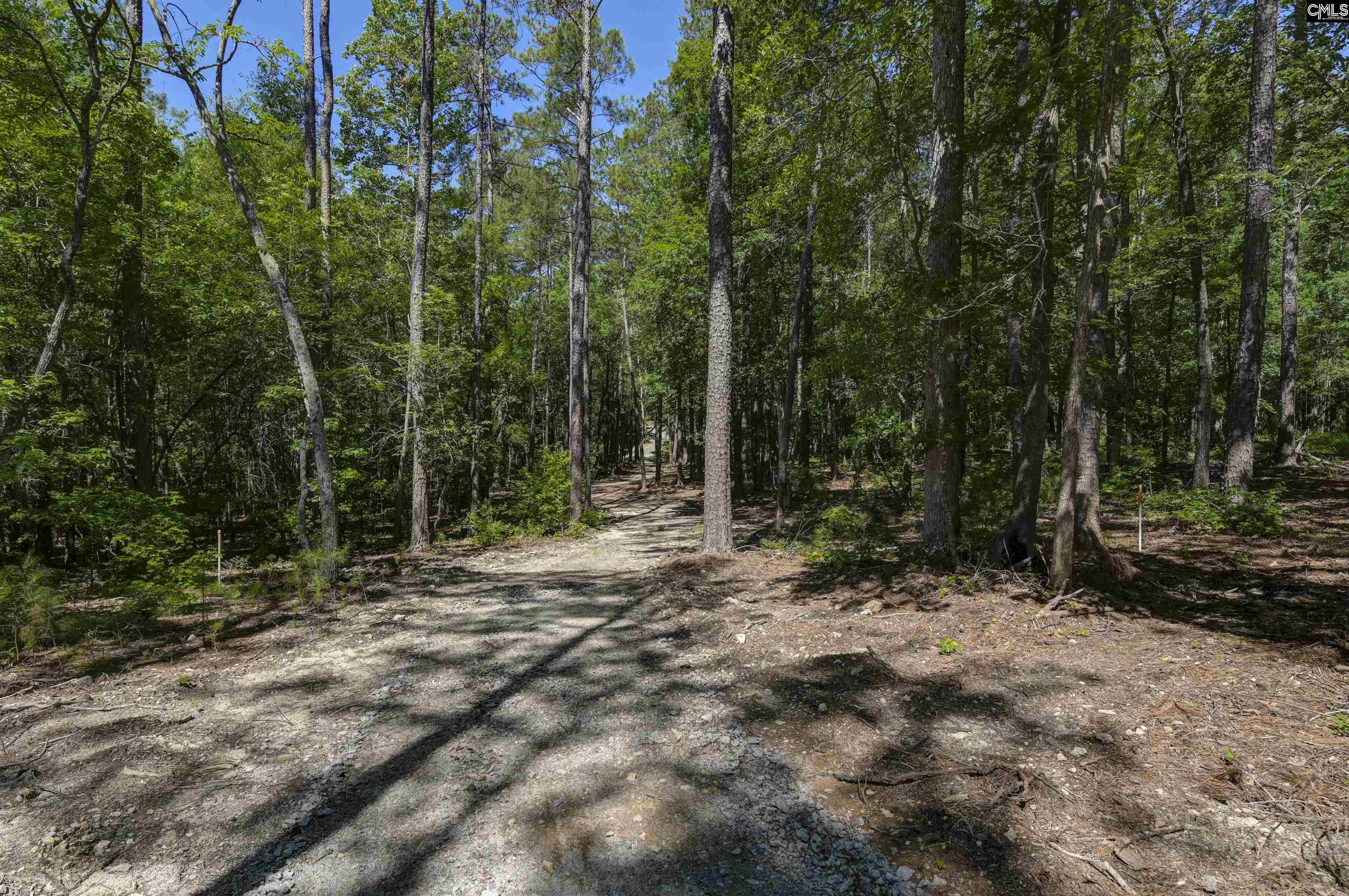 Fulmer Road Blythewood, SC 29016