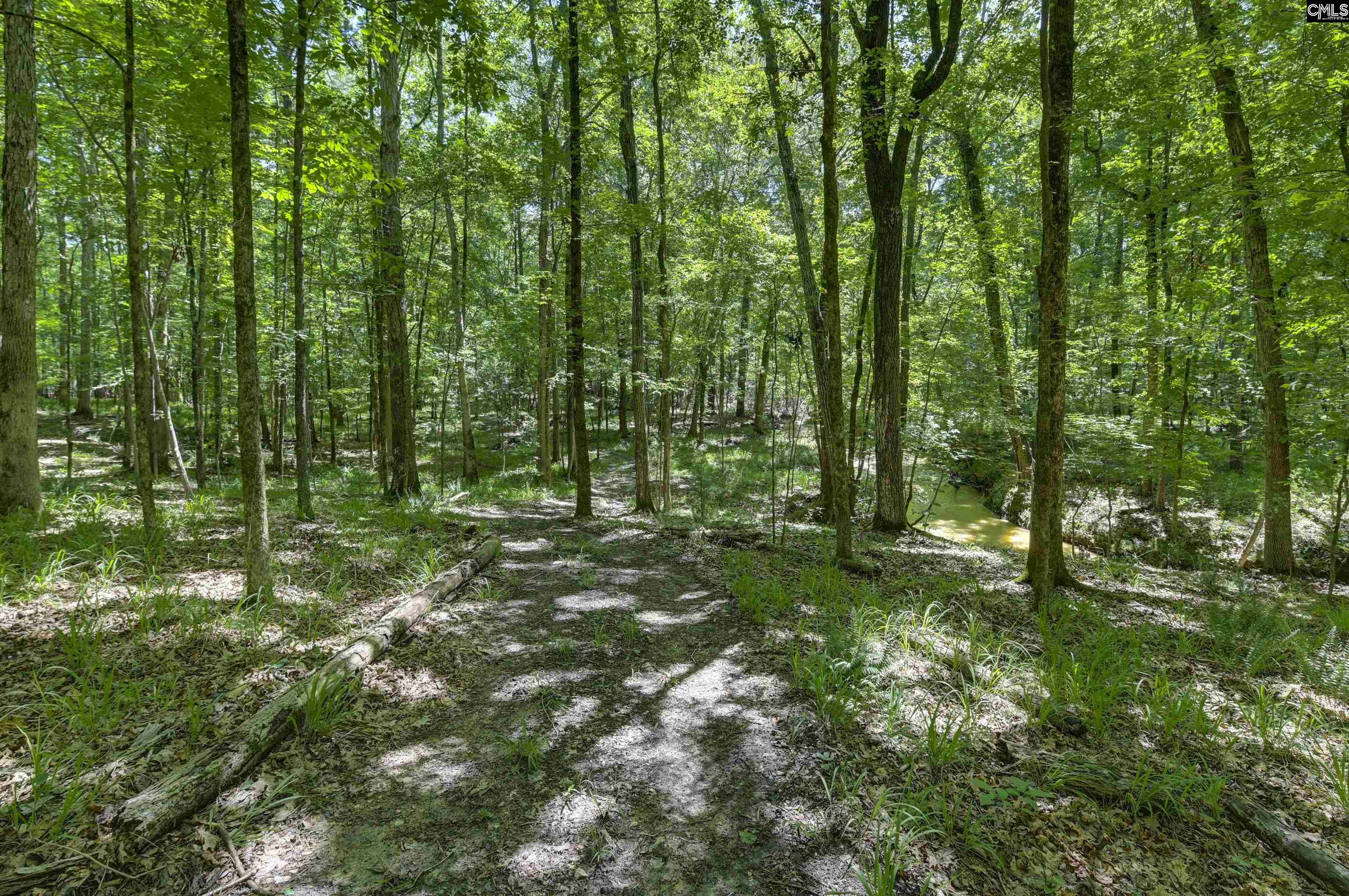 Bright Myers Road Blythewood, SC 29016