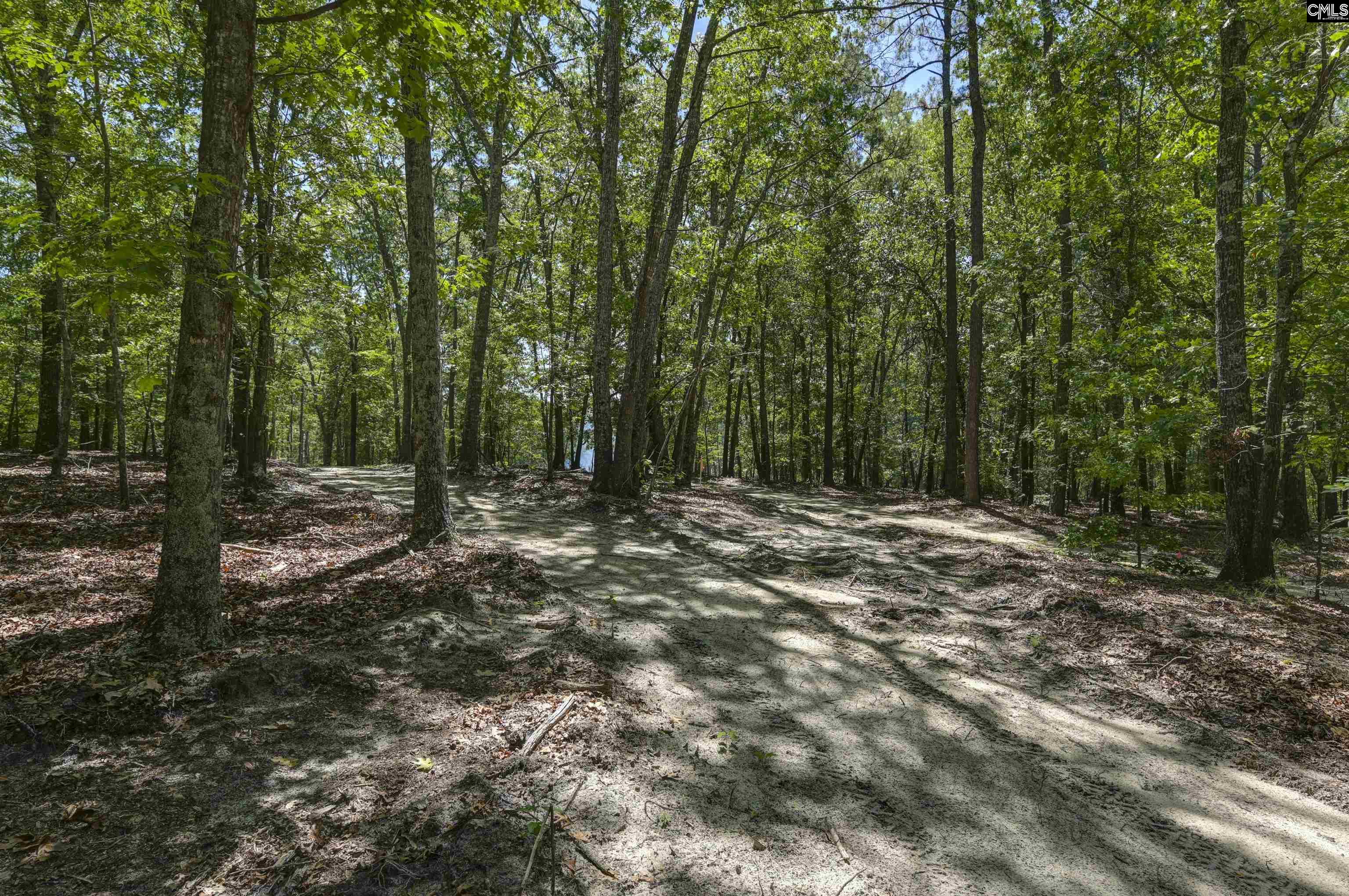 Bright Myers Road Blythewood, SC 29016