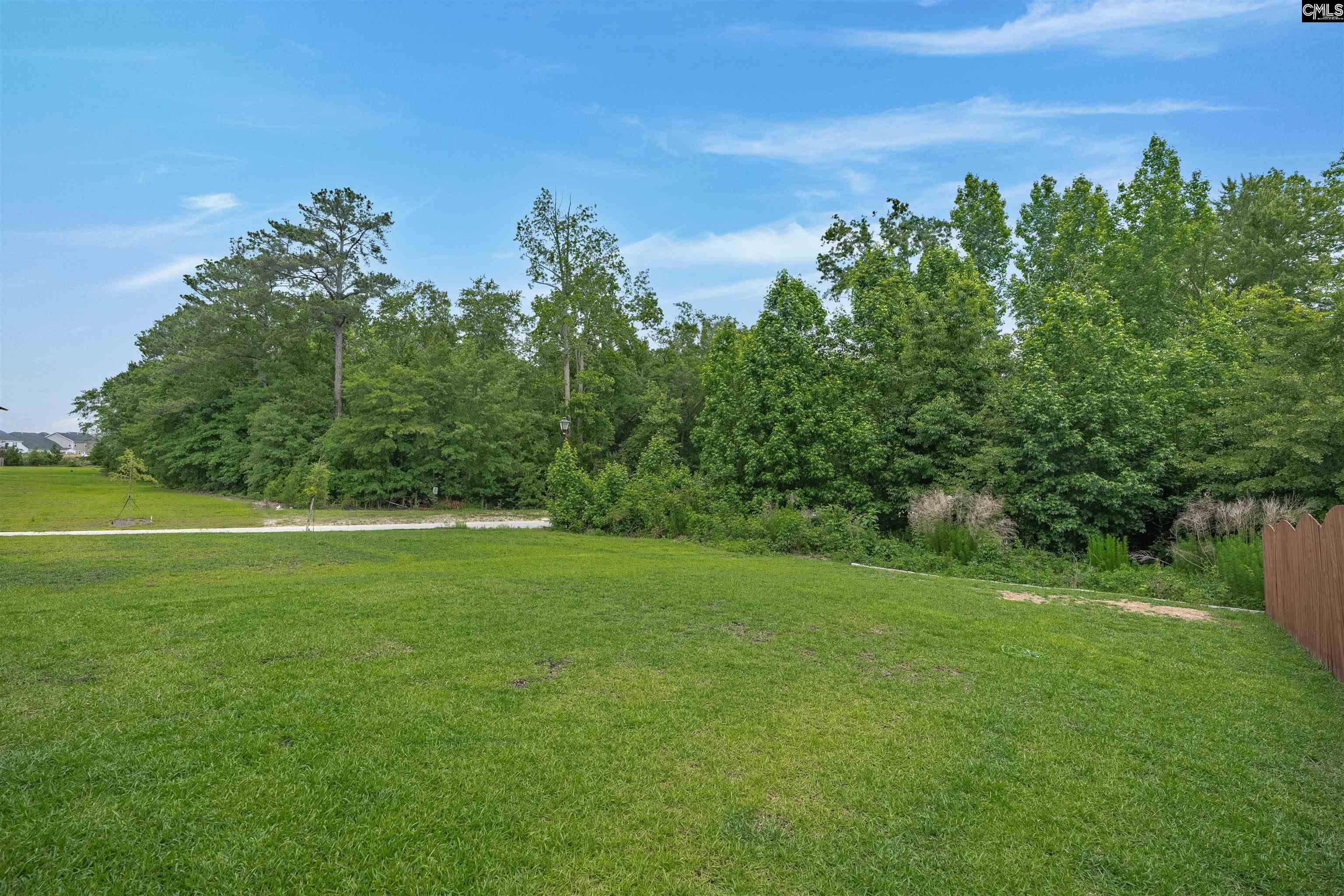 1411 Sweet Gardenia Drive Blythewood, SC 29016