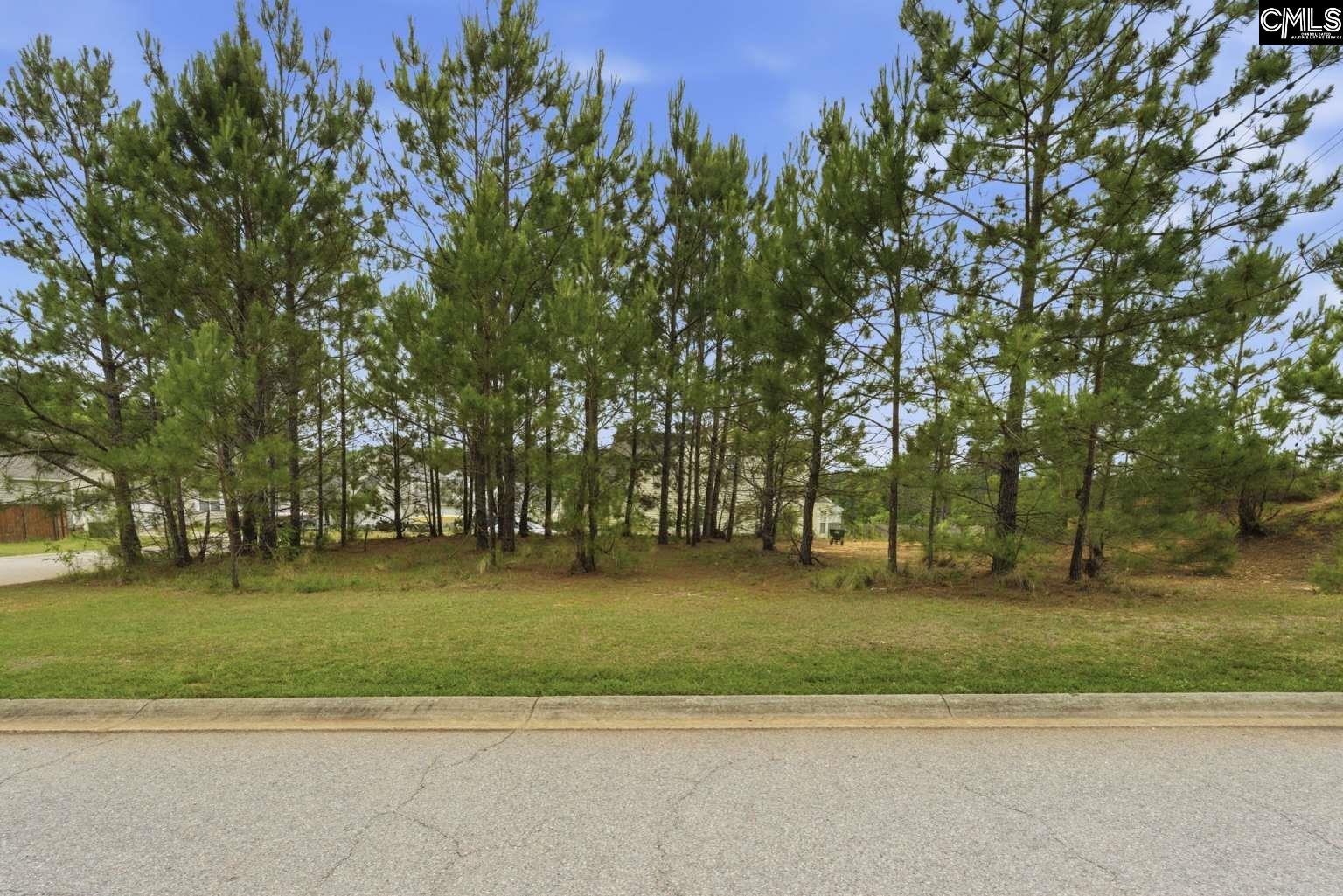 204 Cascade Court Lexington, SC 29072