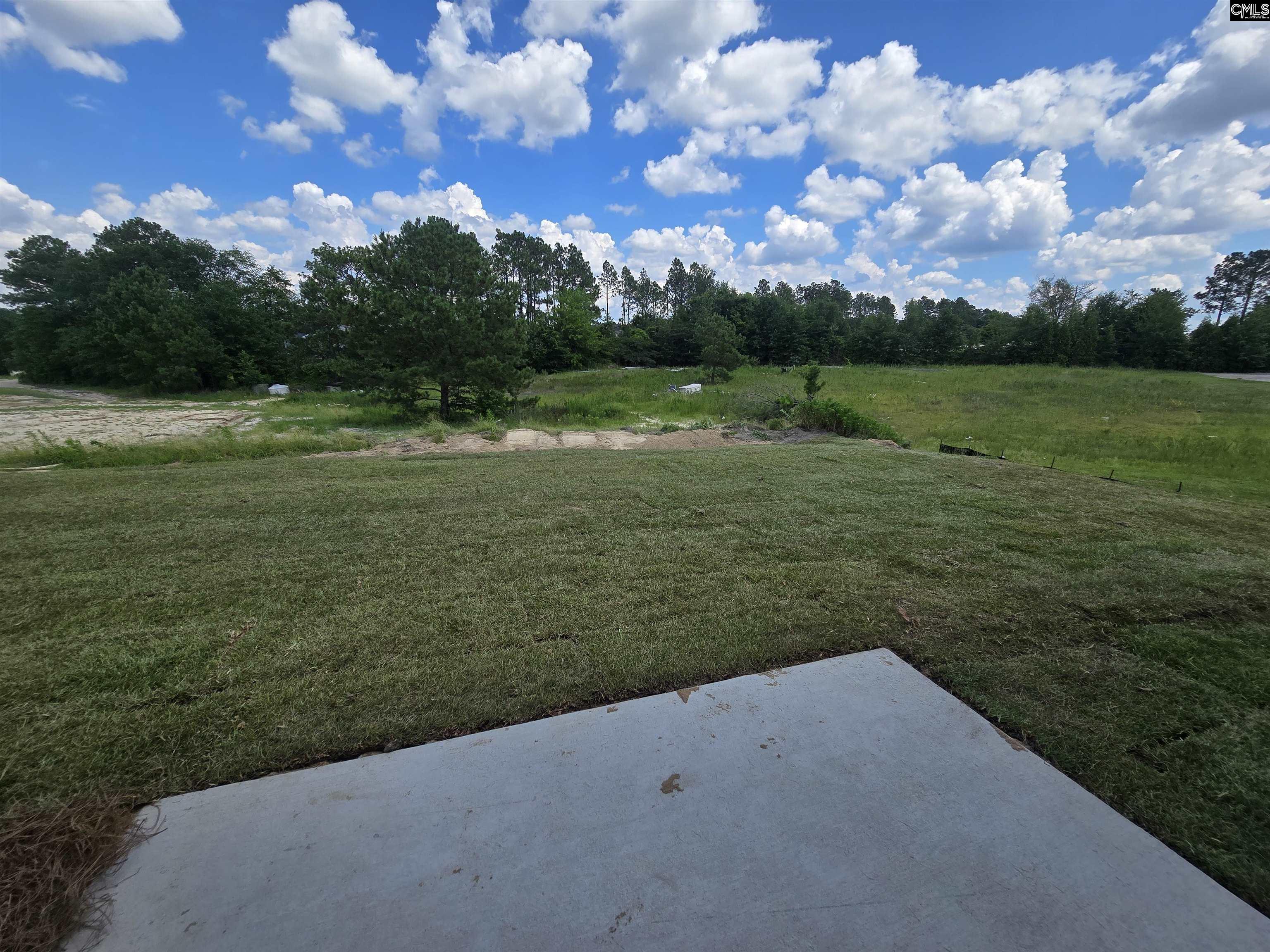 303 South Lake Court Lexington, SC 29073