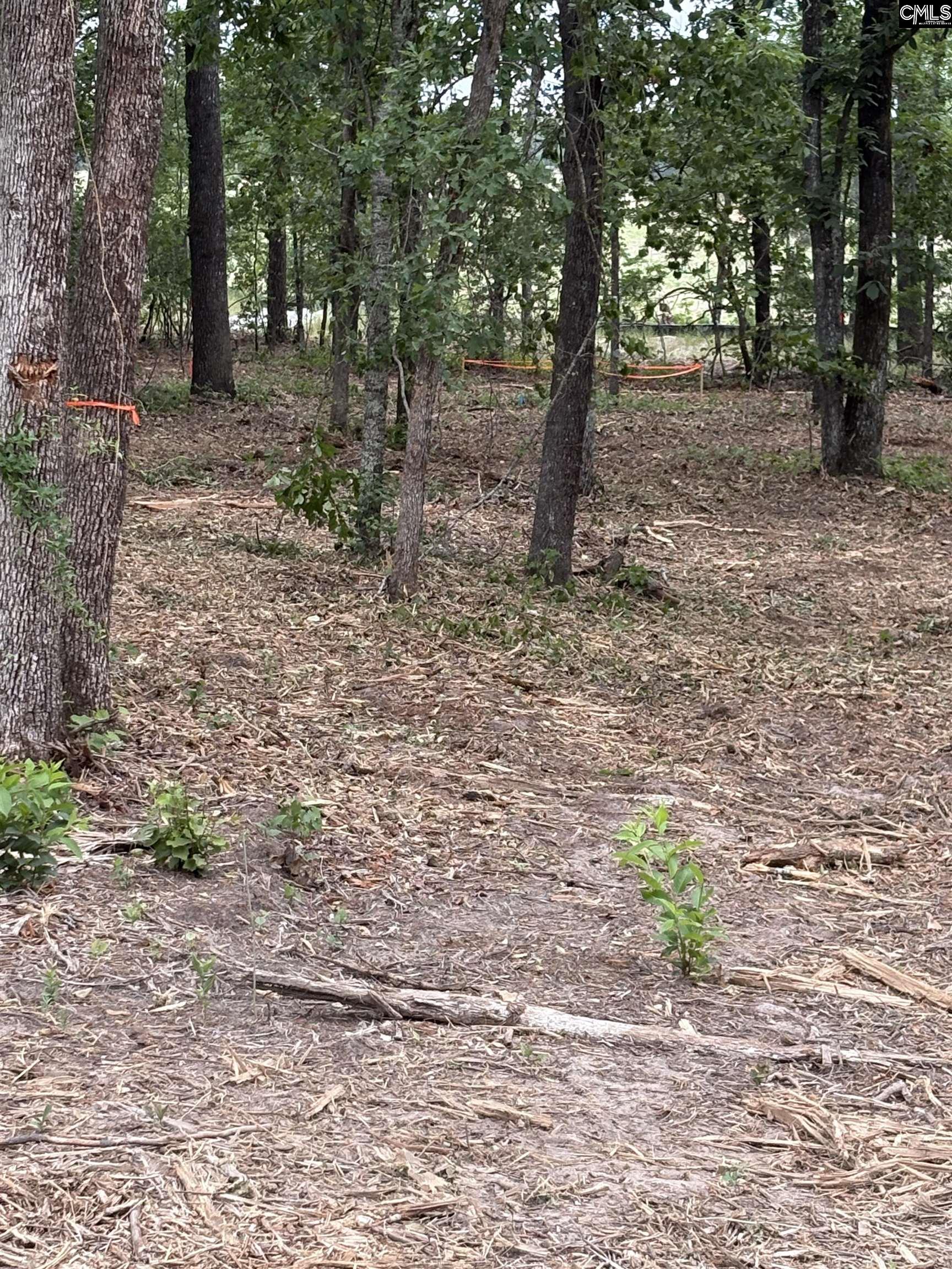 Lot 1 Quattlebaum Drive UNIT Lot 1 Leesville, SC 29070