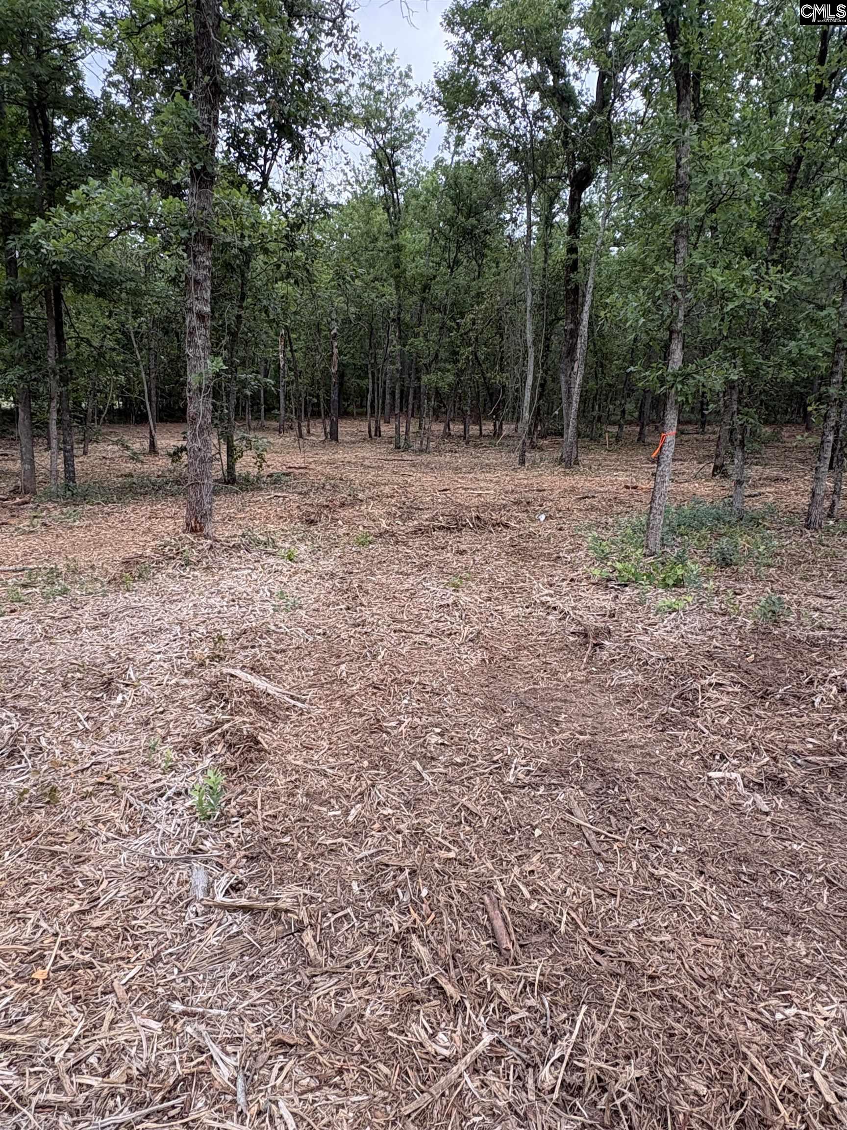 Lot 2 Quattlebaum Drive UNIT Lot 2 Leesville, SC 29072