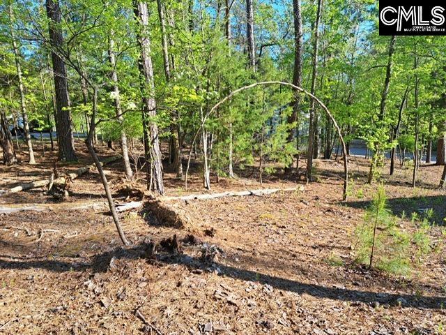 512 Links Pointe Court Chapin, SC 29036
