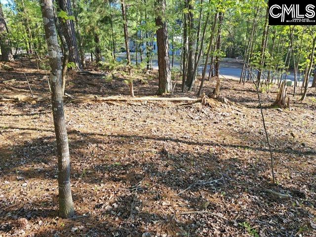 512 Links Pointe Court Chapin, SC 29036