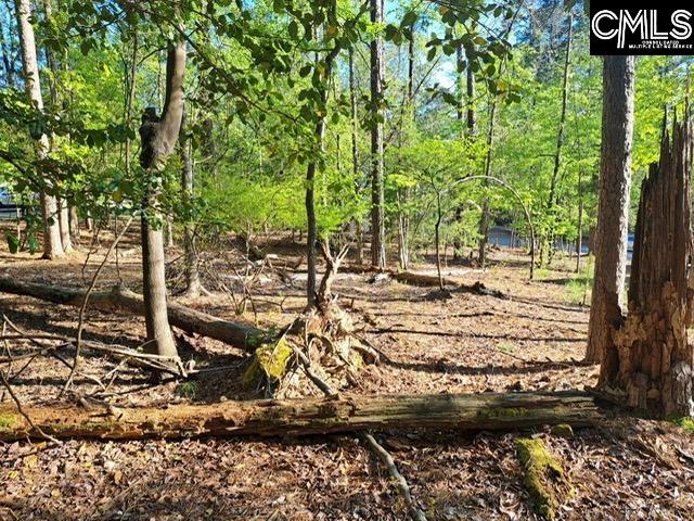 512 Links Pointe Court Chapin, SC 29036