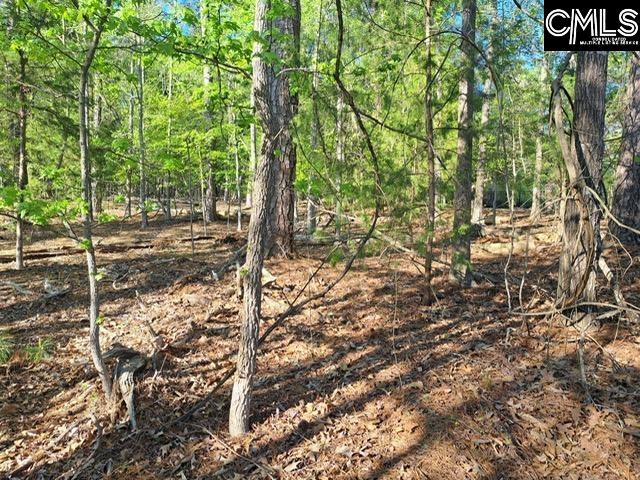 512 Links Pointe Court Chapin, SC 29036