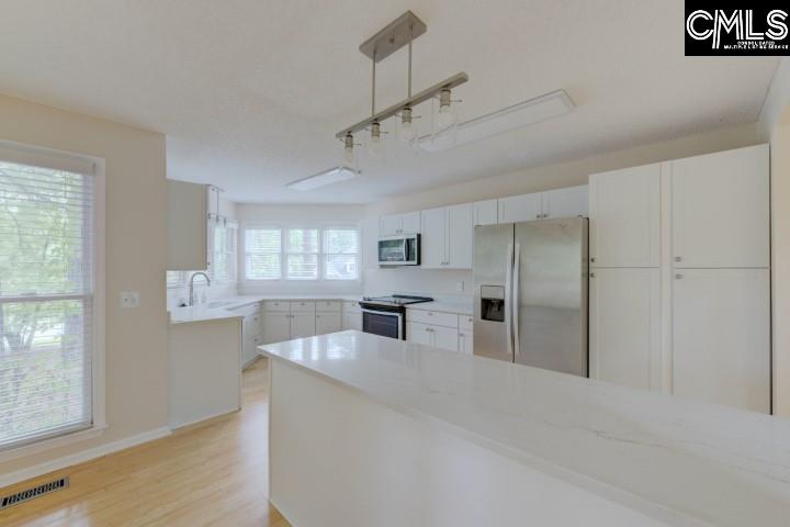 101 Oak Trace Court Chapin, SC 29036