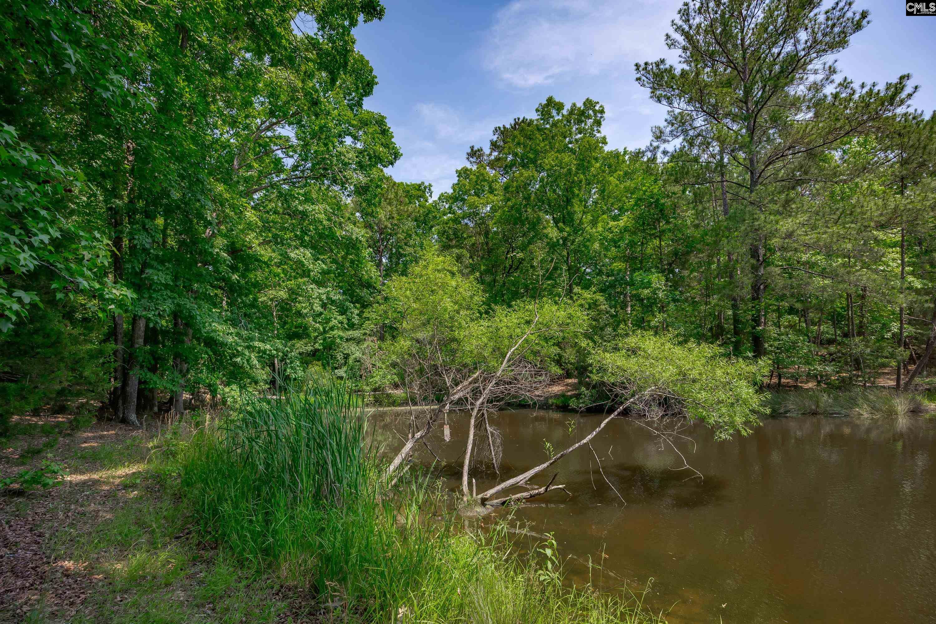 841 Foxden Road Gilbert, SC 29054