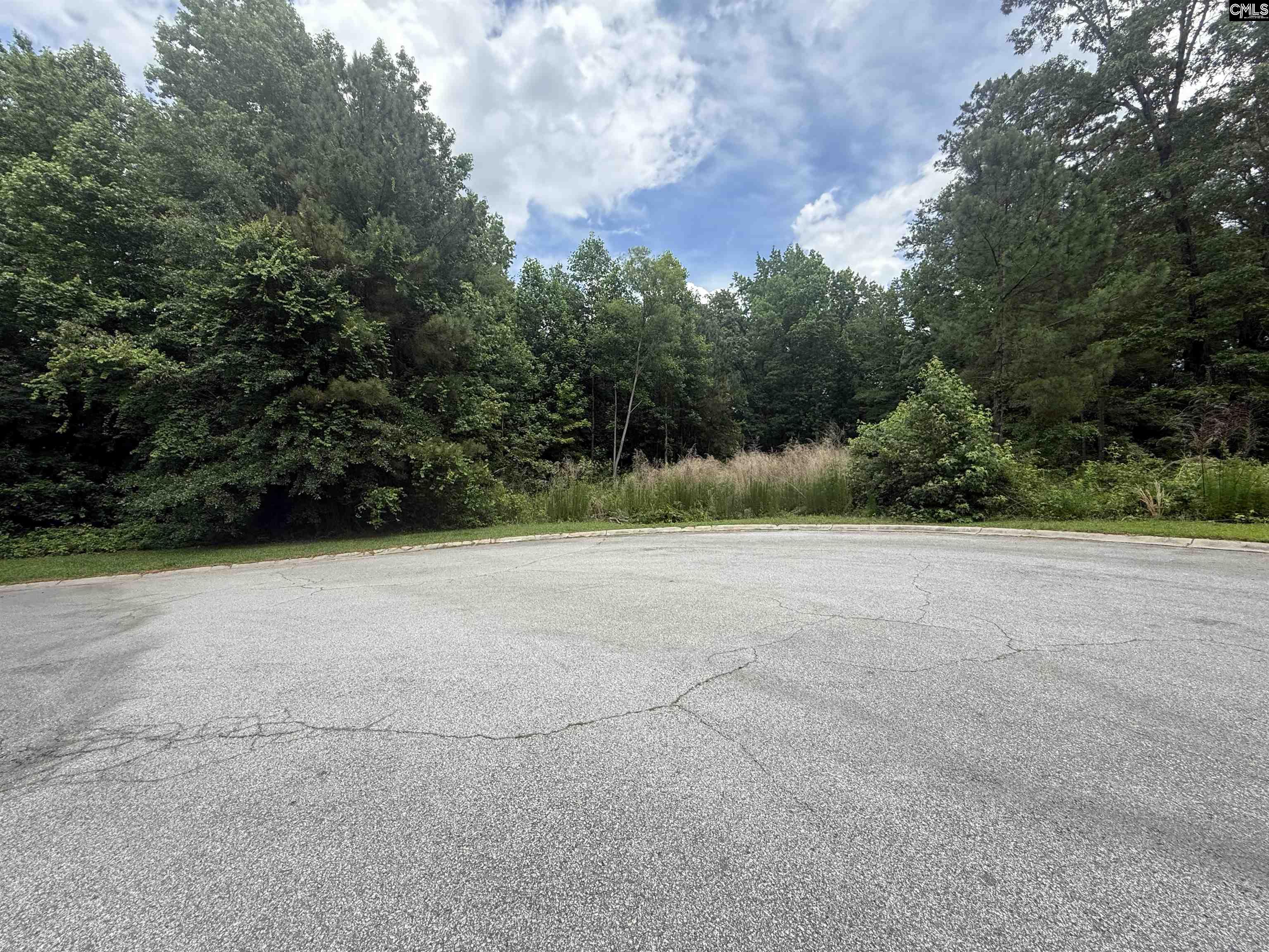 239 Fair Ridge Lane Blythewood, SC 29016