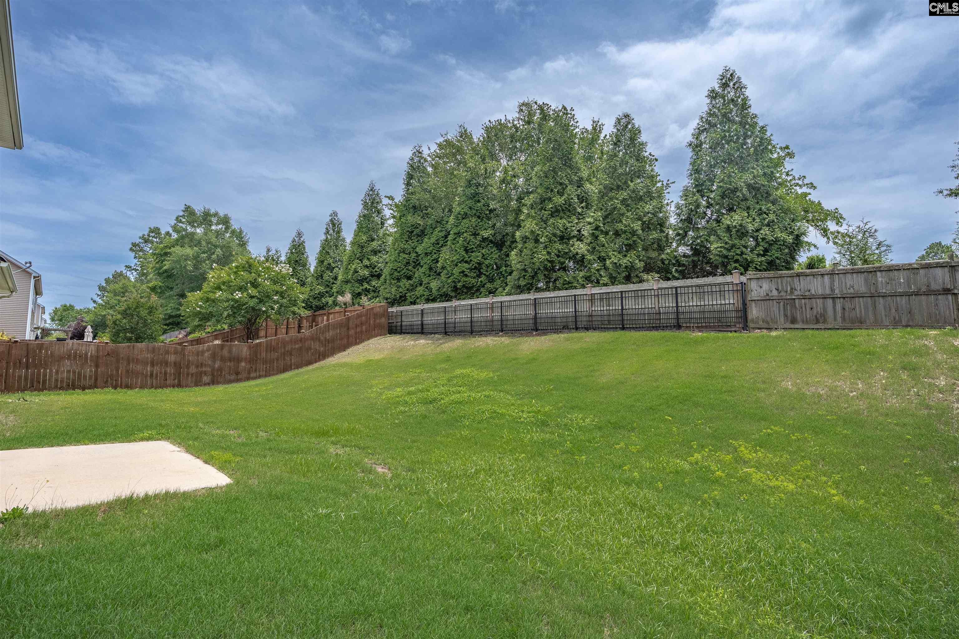 246 Mill House Lane Lexington, SC 29072