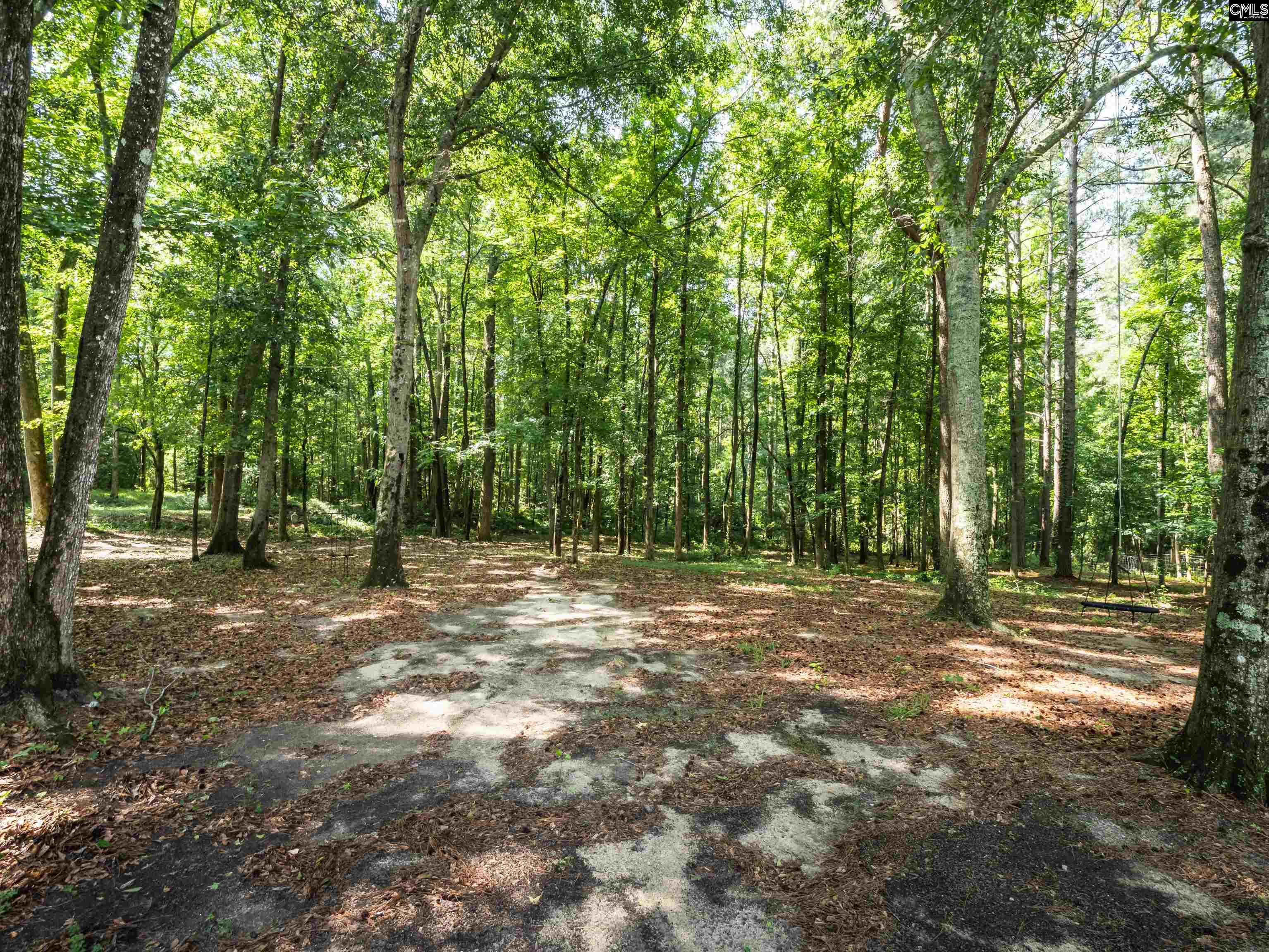 5229 Augusta Highway Leesville, SC 29070