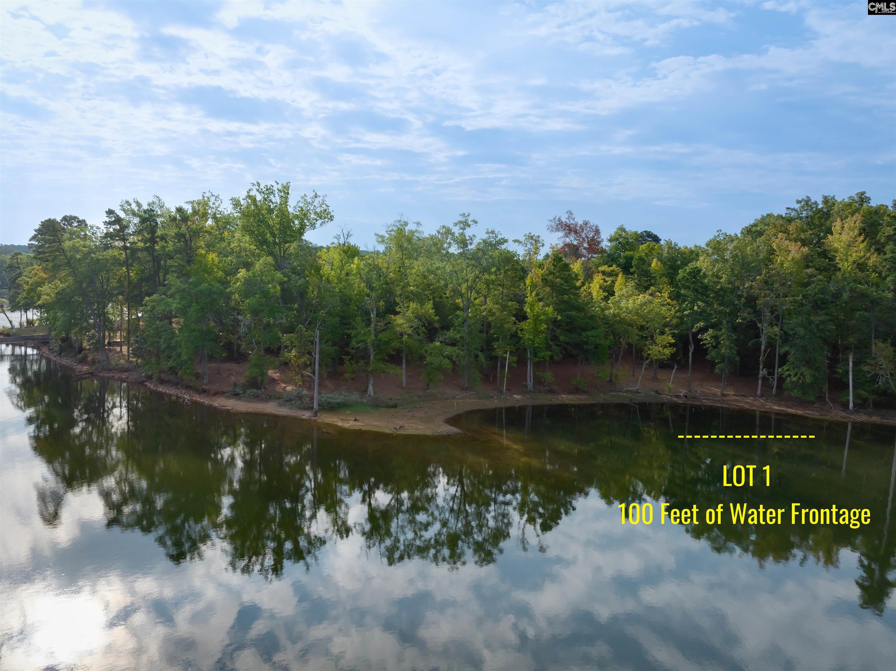 Spence Shore Court UNIT LOT 1 Lexington, SC 29072