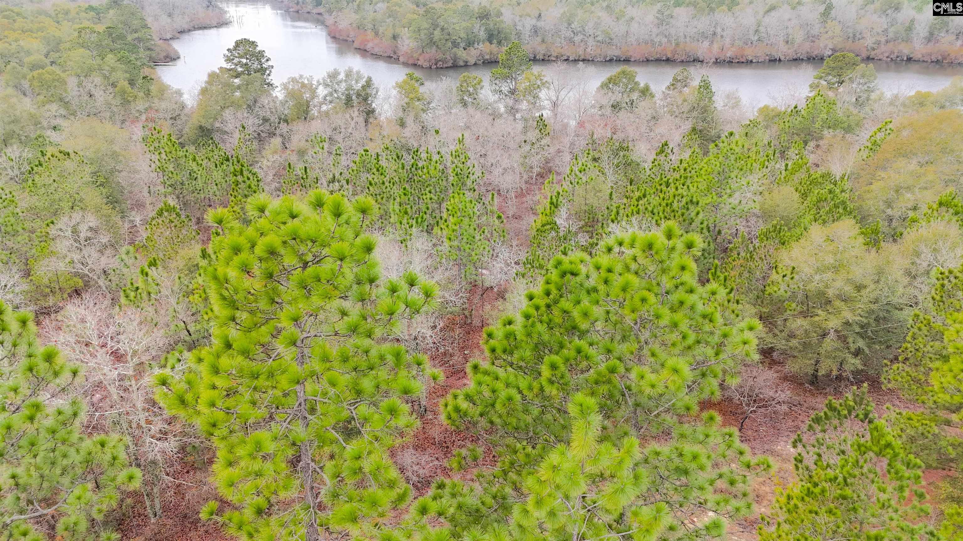 Browns Pond Road Wagener, SC 29164