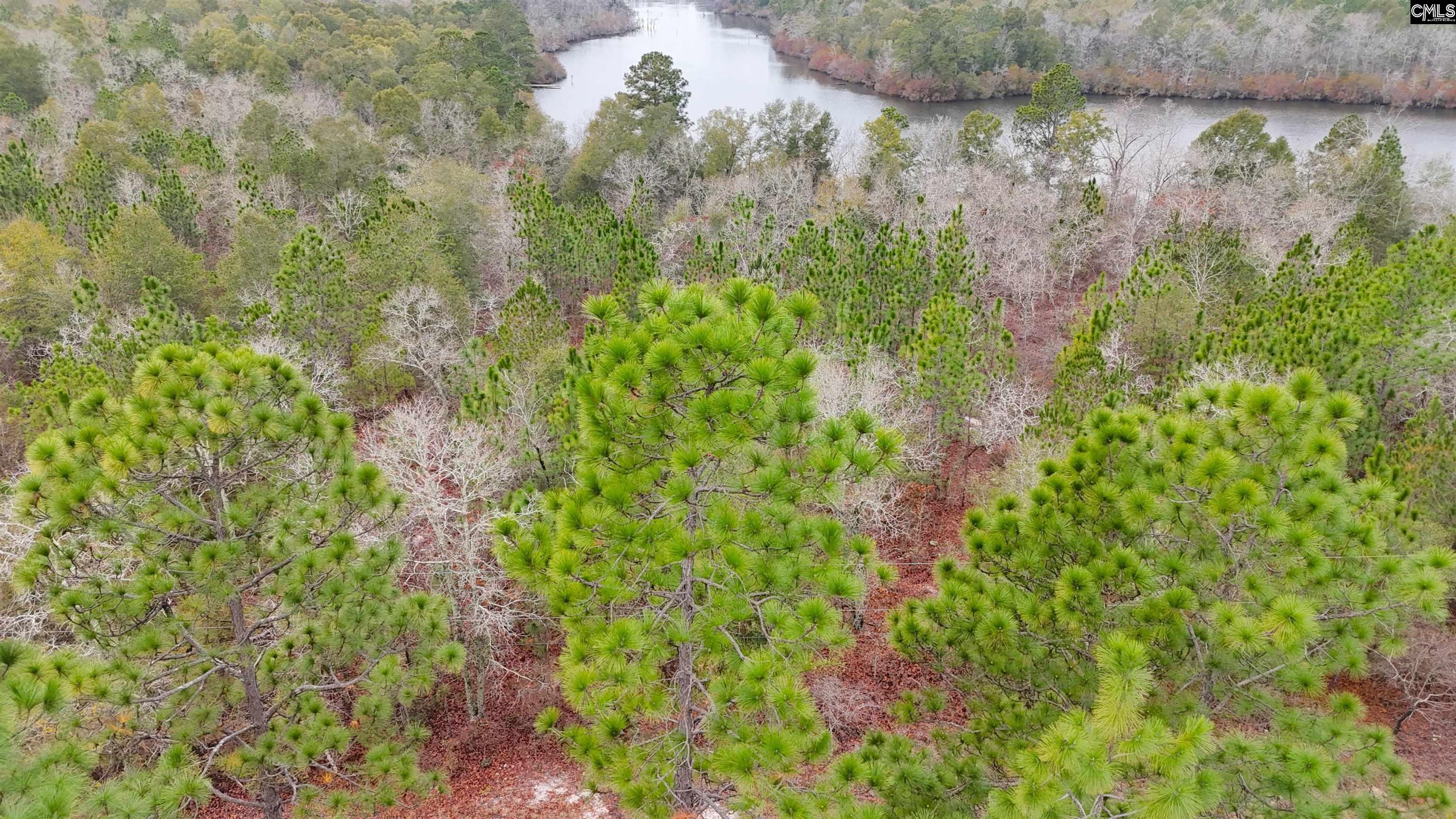 Browns Pond Road Wagener, SC 29164