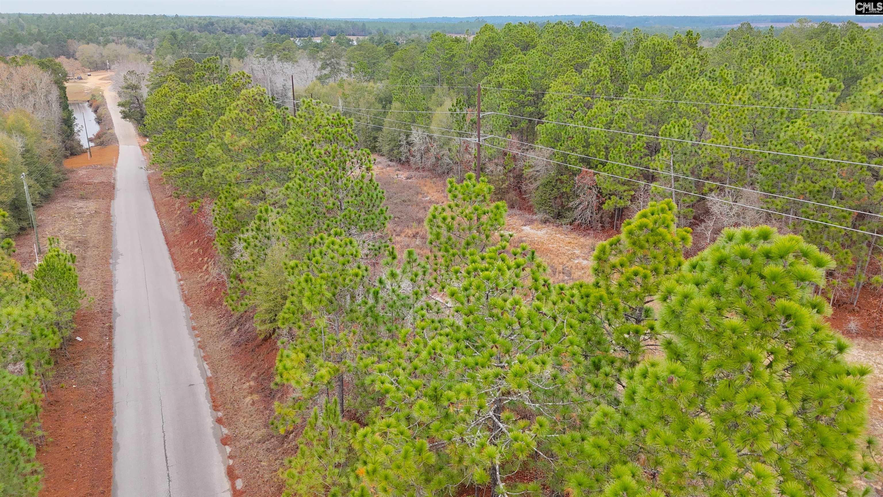 Browns Pond Road Wagener, SC 29164