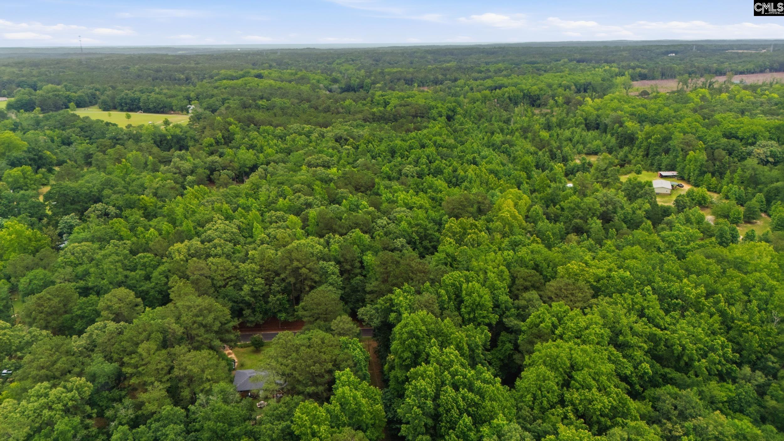 TBD Basil Road Swansea, SC 29160