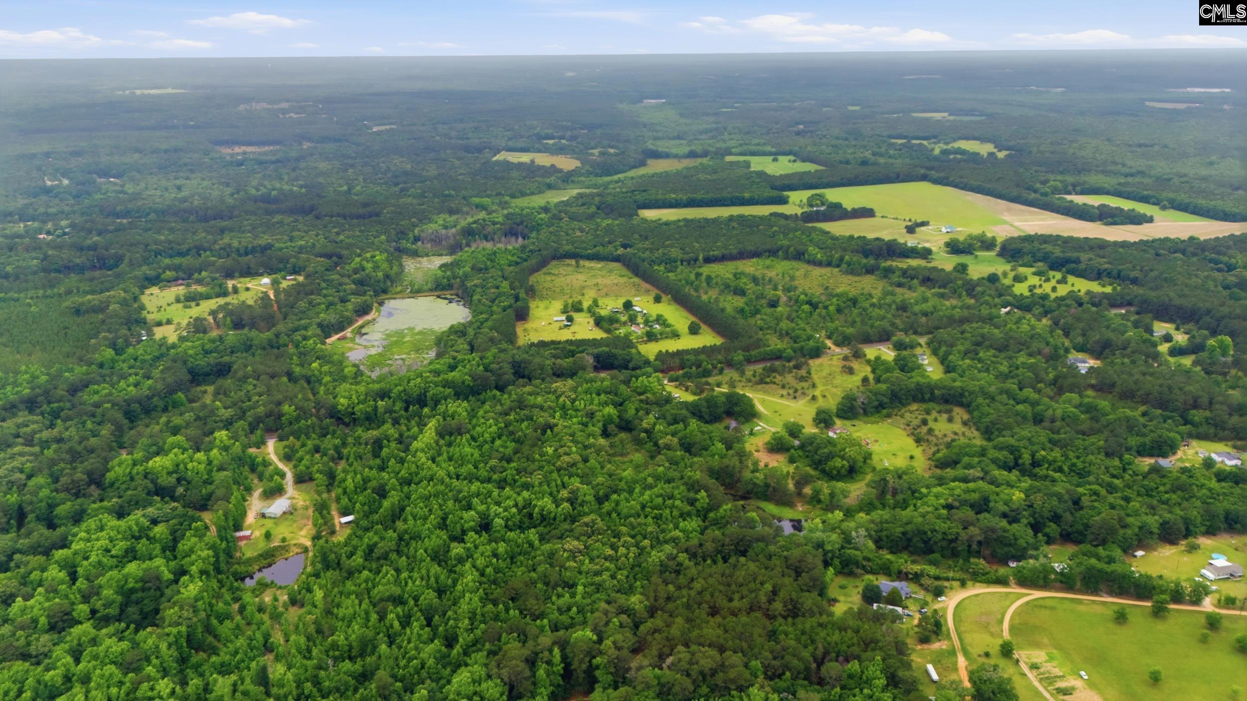 TBD Basil Road Swansea, SC 29160