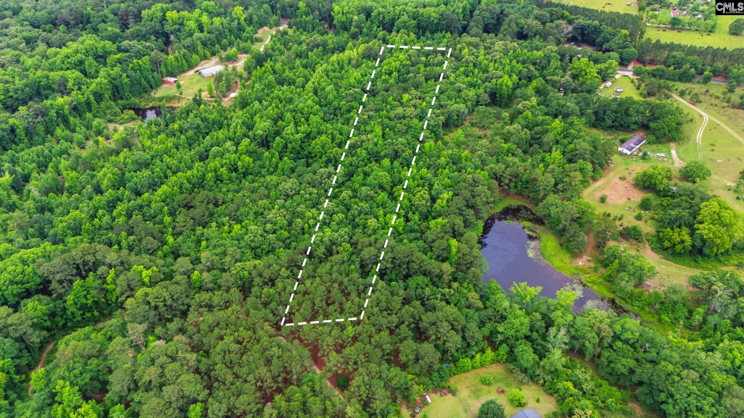 TBD Basil Road Swansea, SC 29160