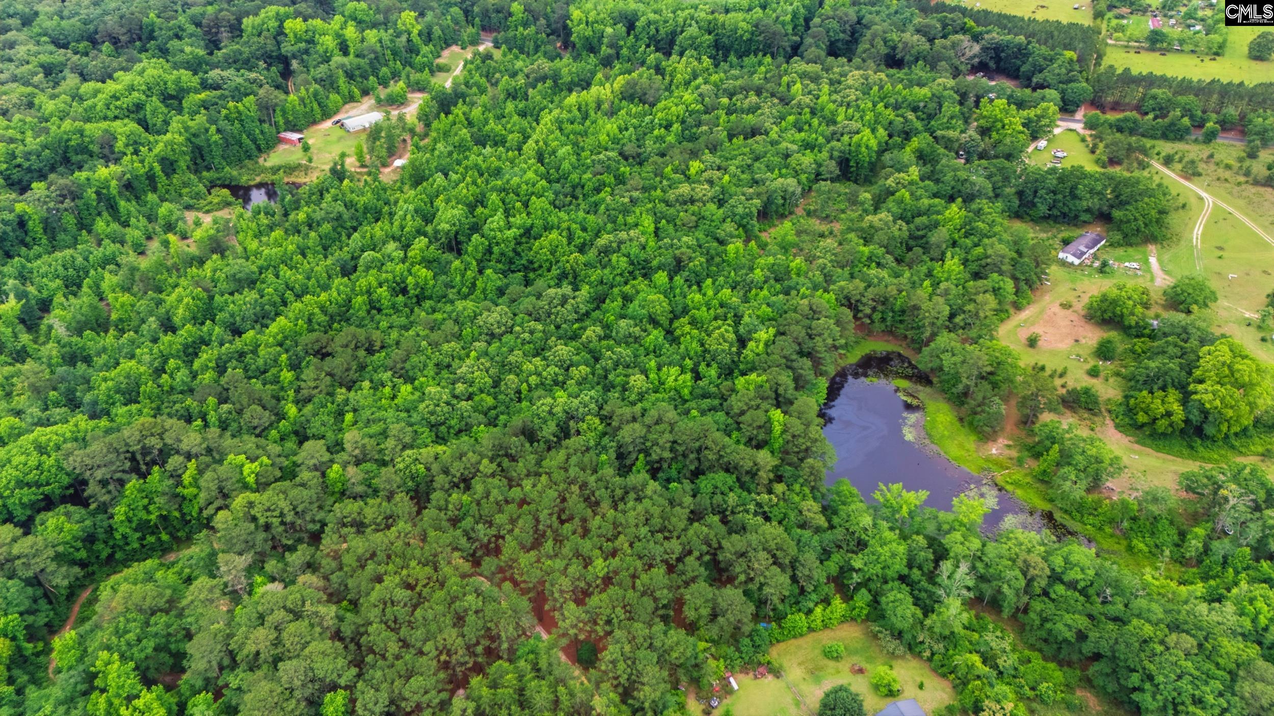 TBD Basil Road Swansea, SC 29160