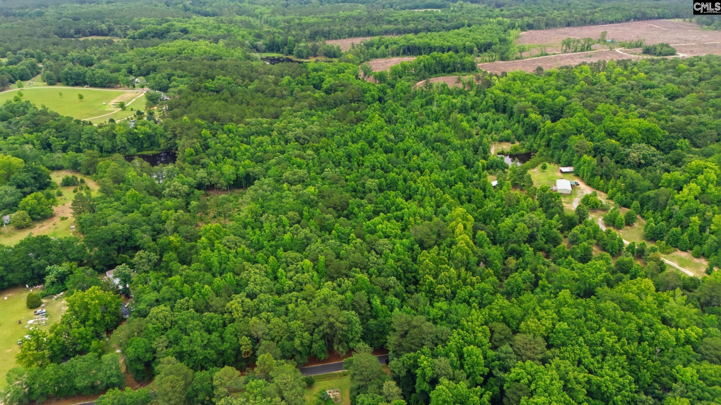 TBD Basil Road Swansea, SC 29160