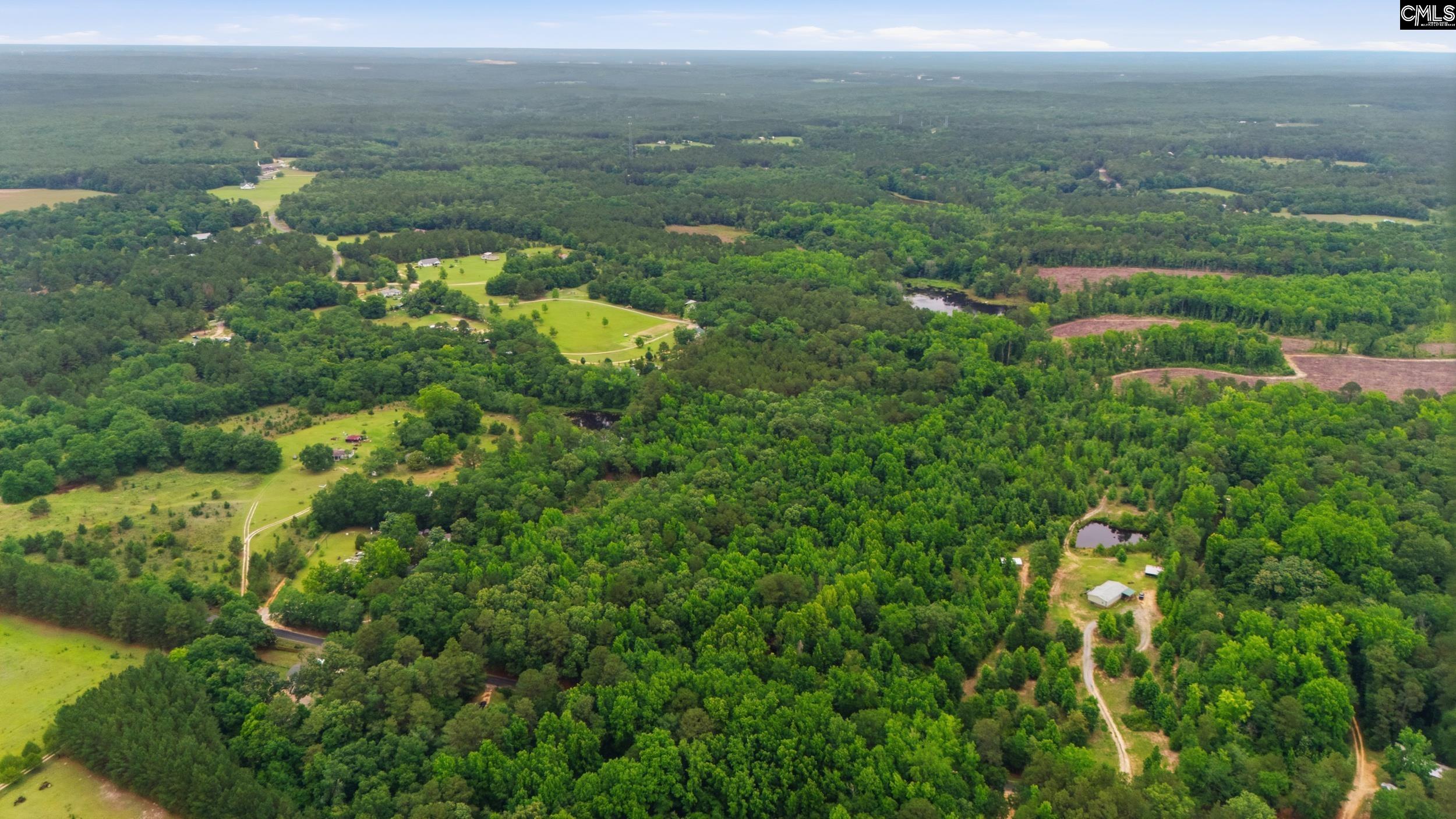 TBD Basil Road Swansea, SC 29160