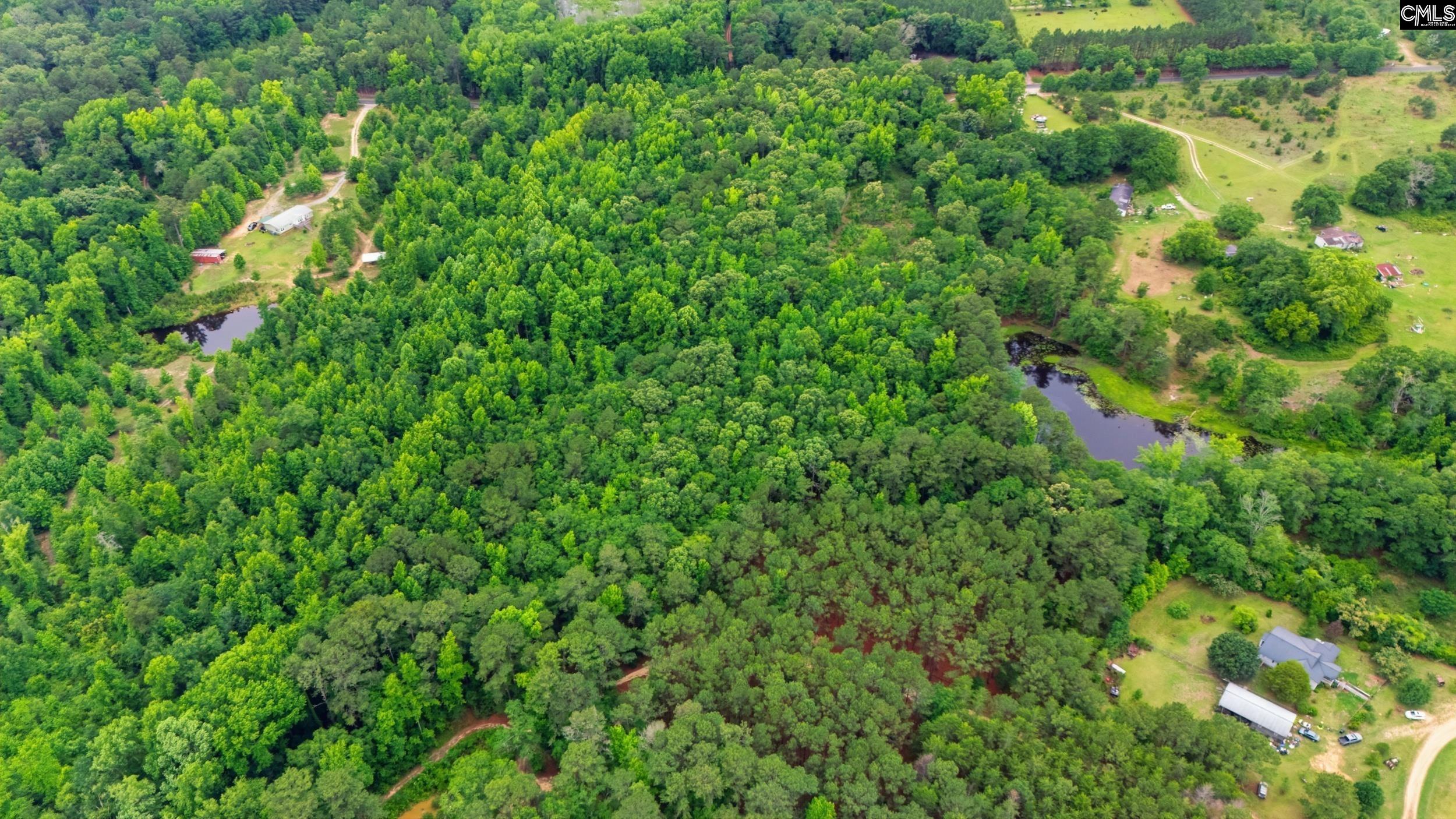 TBD Basil Road Swansea, SC 29160