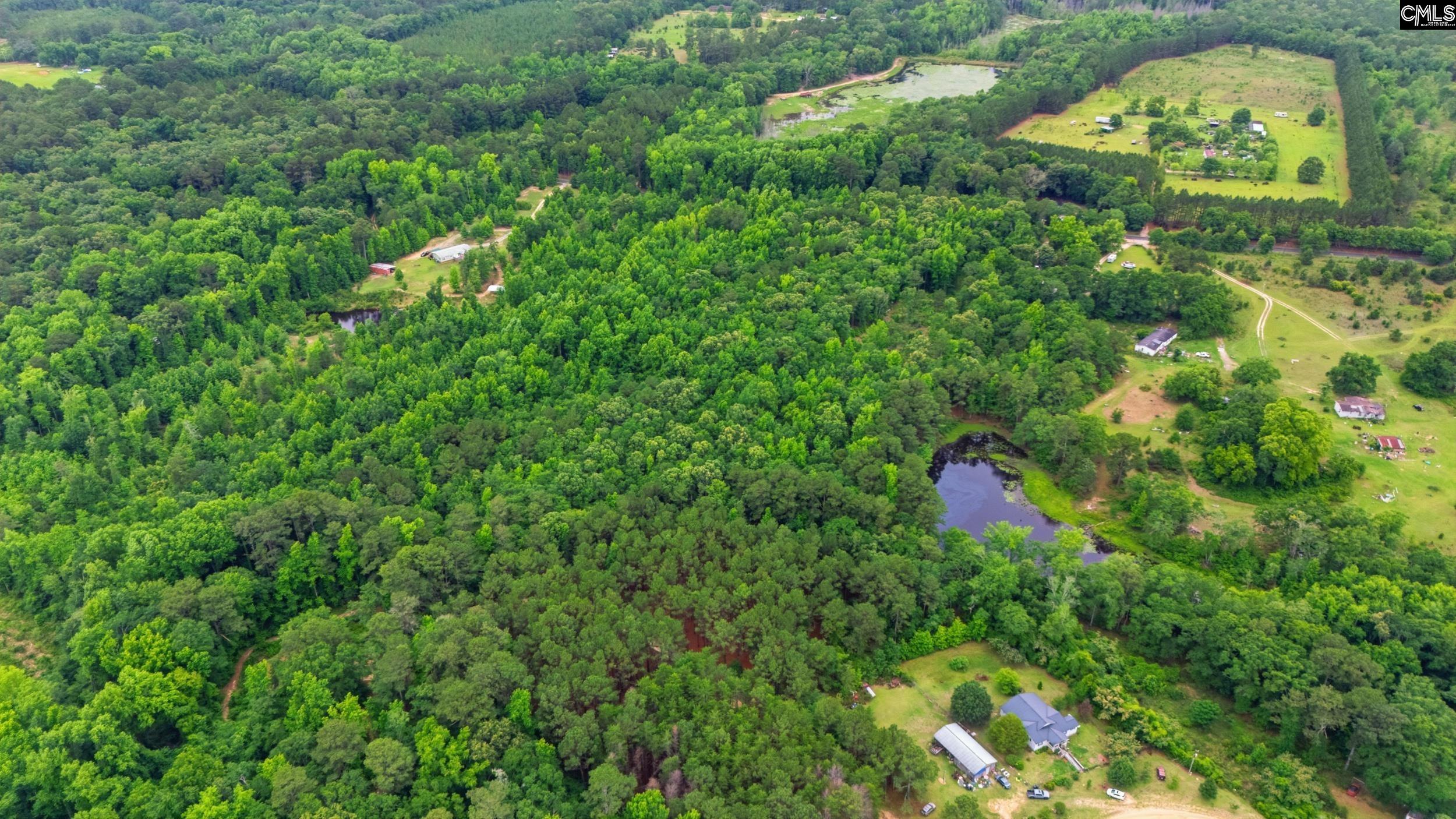 TBD Basil Road Swansea, SC 29160