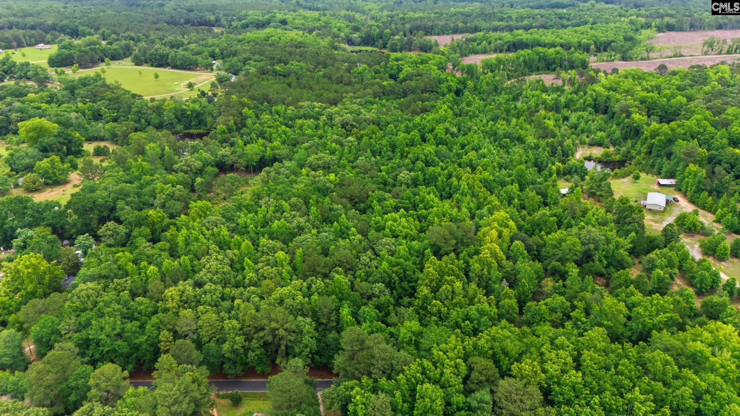TBD Basil Road Swansea, SC 29160