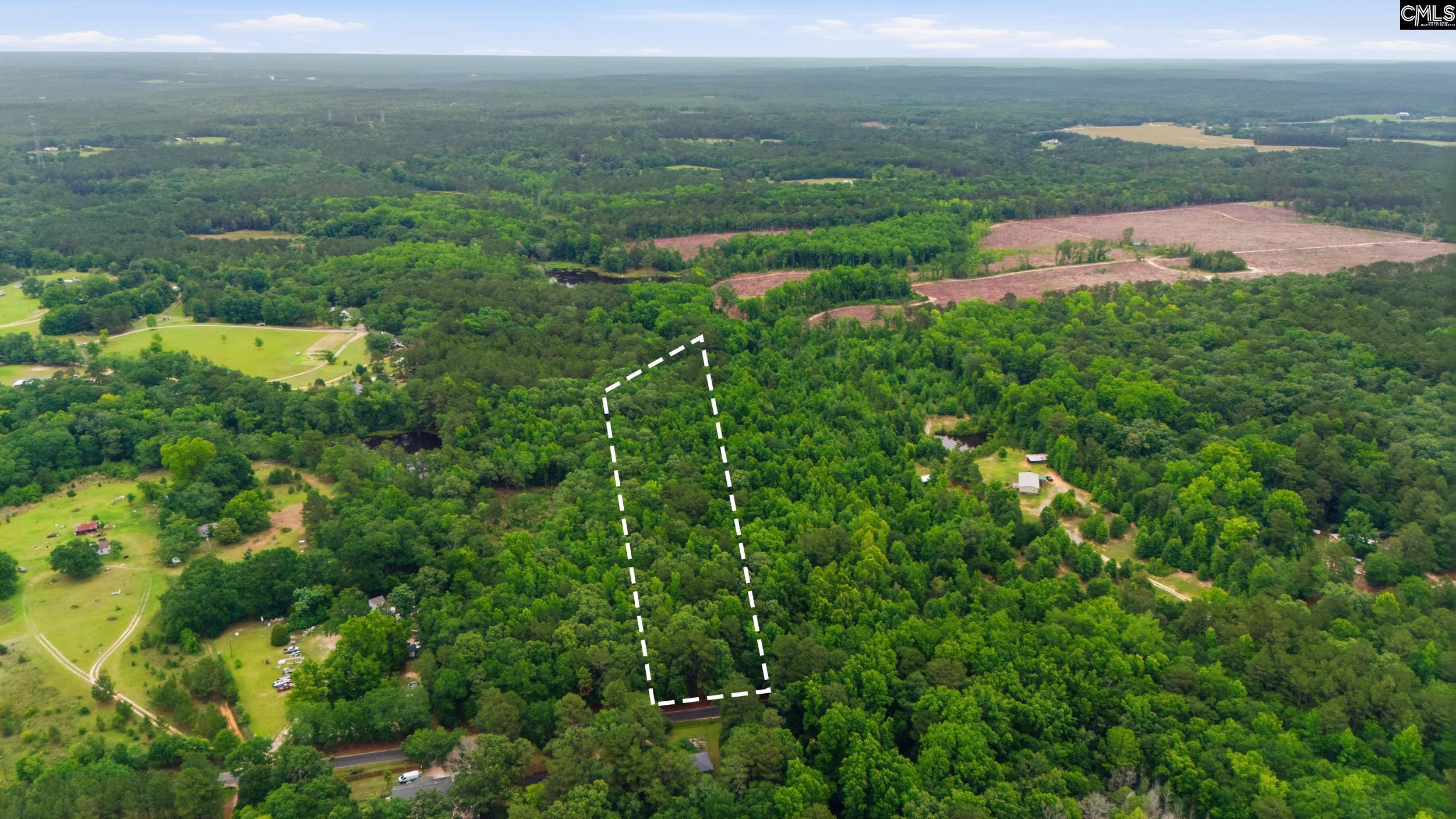 TBD Basil Road Swansea, SC 29160