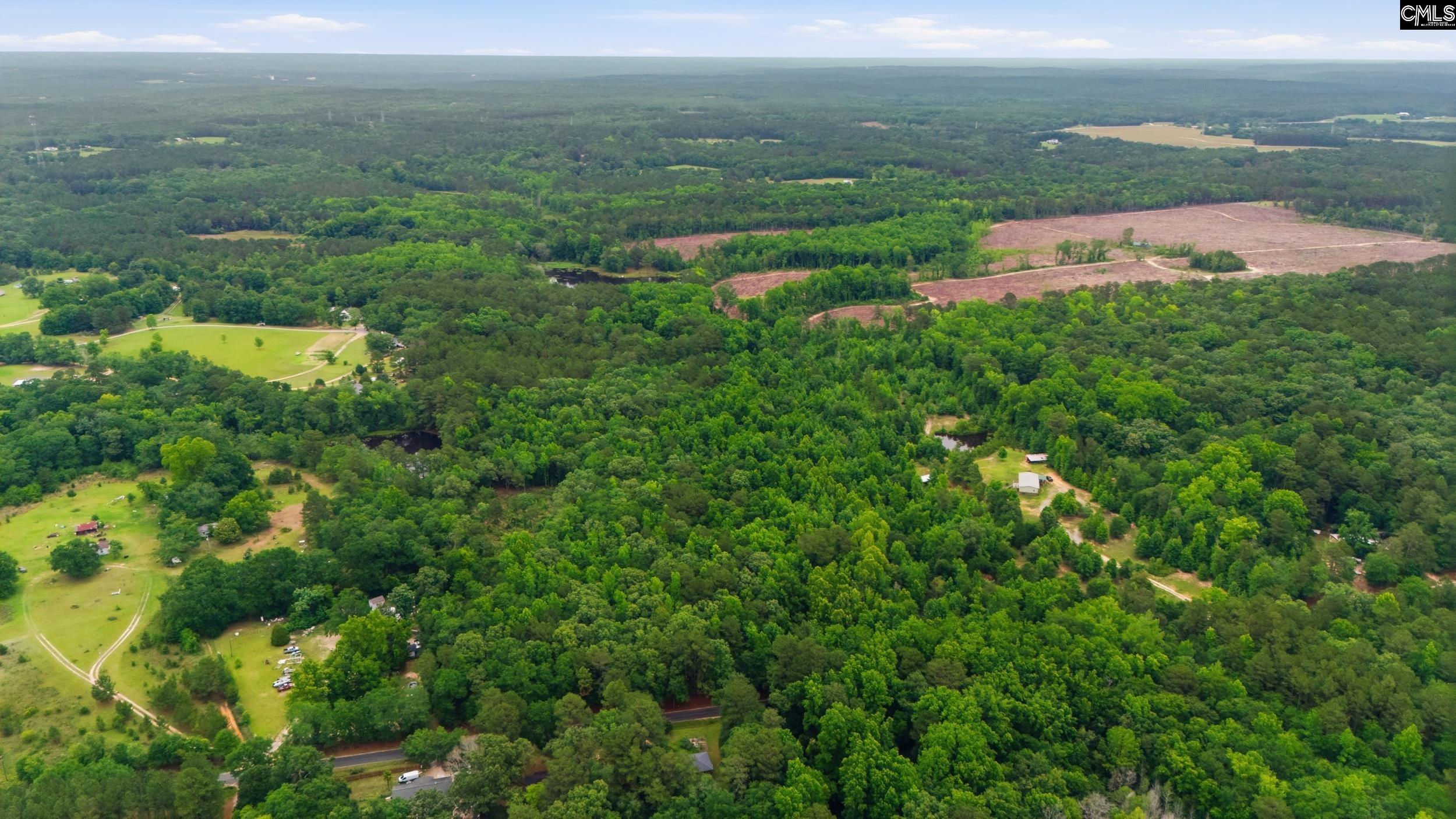 TBD Basil Road Swansea, SC 29160