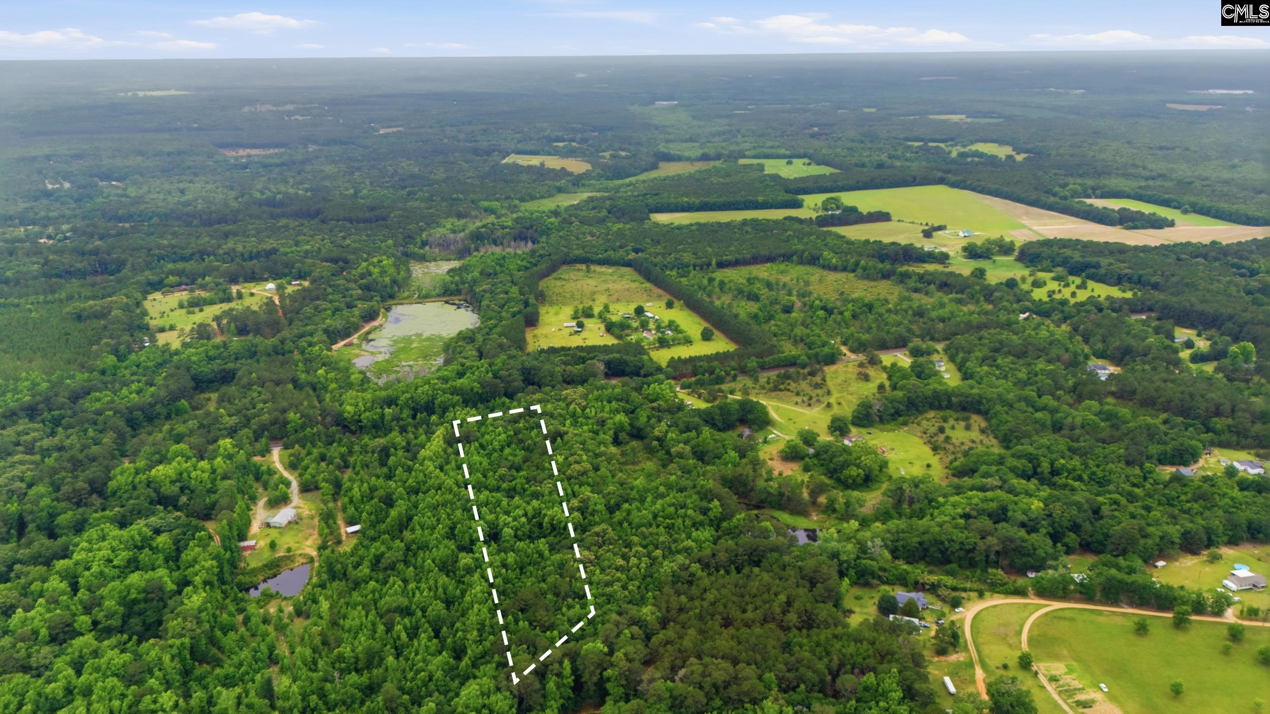 TBD Basil Road Swansea, SC 29160