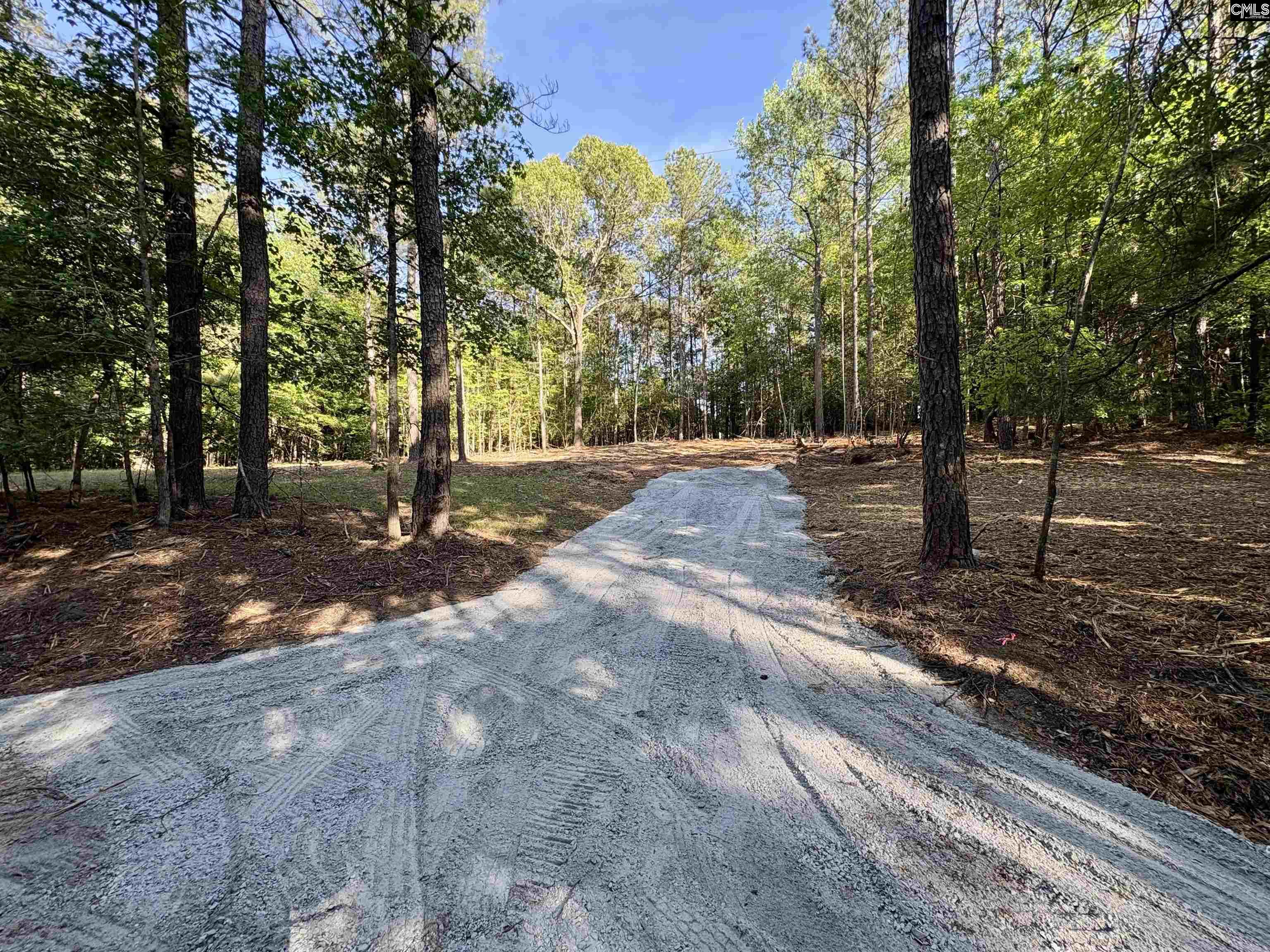 310 Douglas Road Pomaria, SC 29126