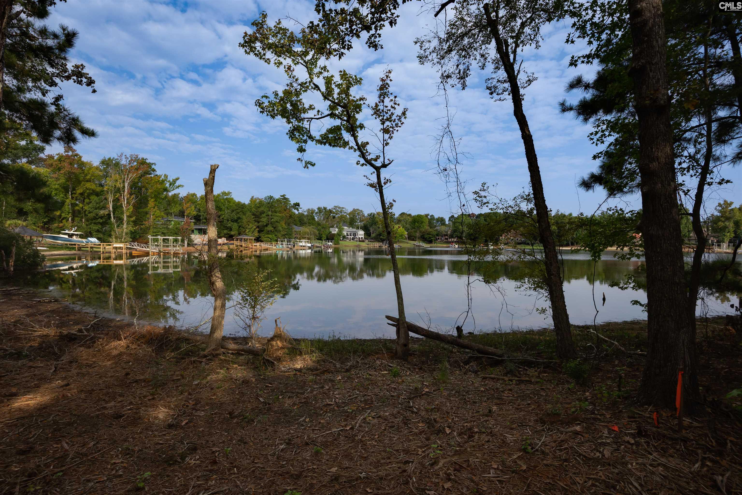Spence Shore Court UNIT LOT 2 Lexington, SC 29072