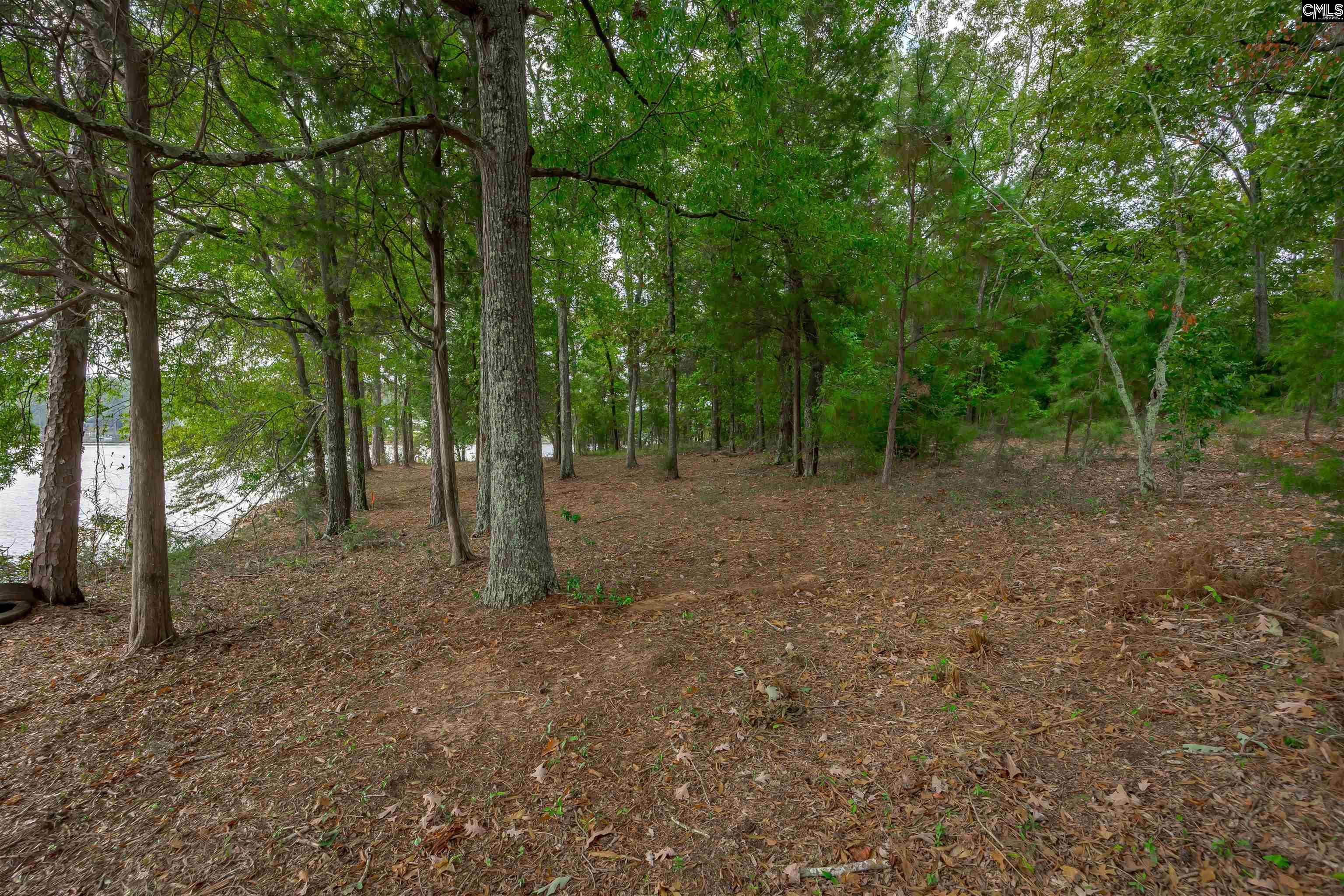 Spence Shore Court UNIT LOT 2 Lexington, SC 29072