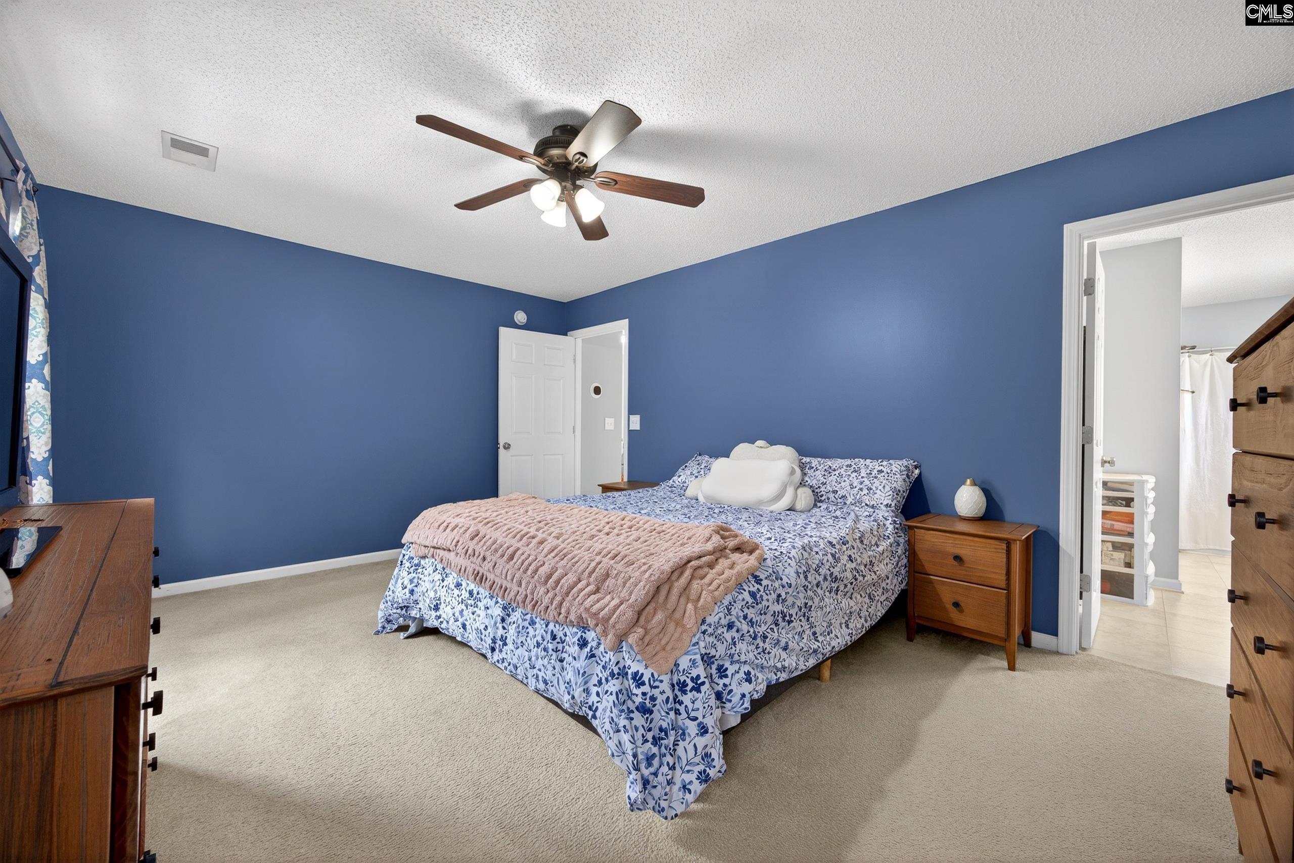 371 Eagle Pointe Drive Chapin, SC 29036