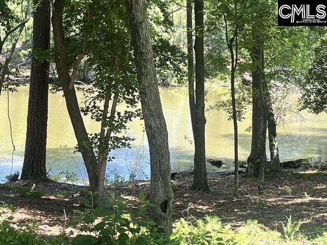 133 Lands End Lane UNIT Lot 205 Prosperity, SC 29127-0000