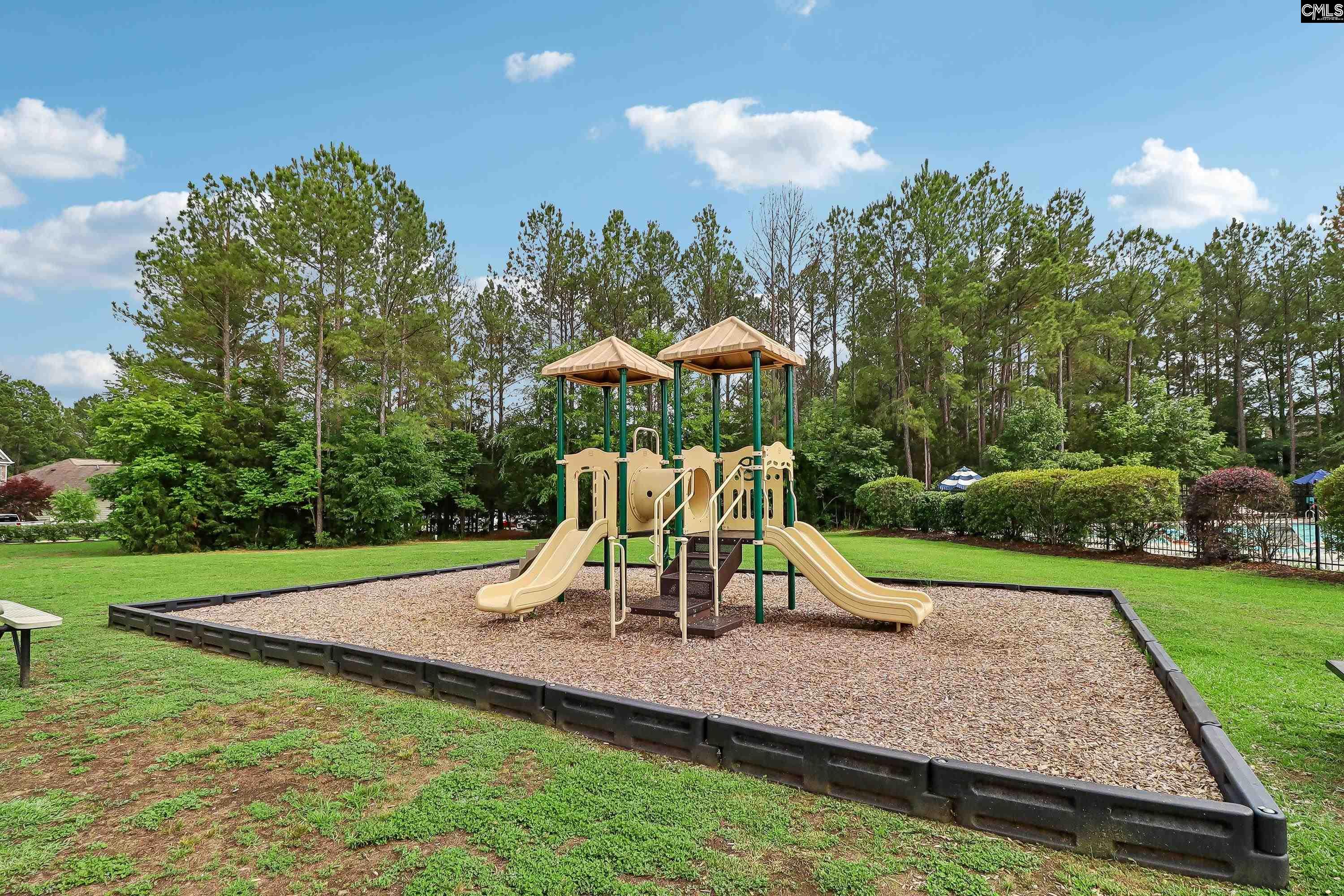 551 Eagles Rest Drive Chapin, SC 29036
