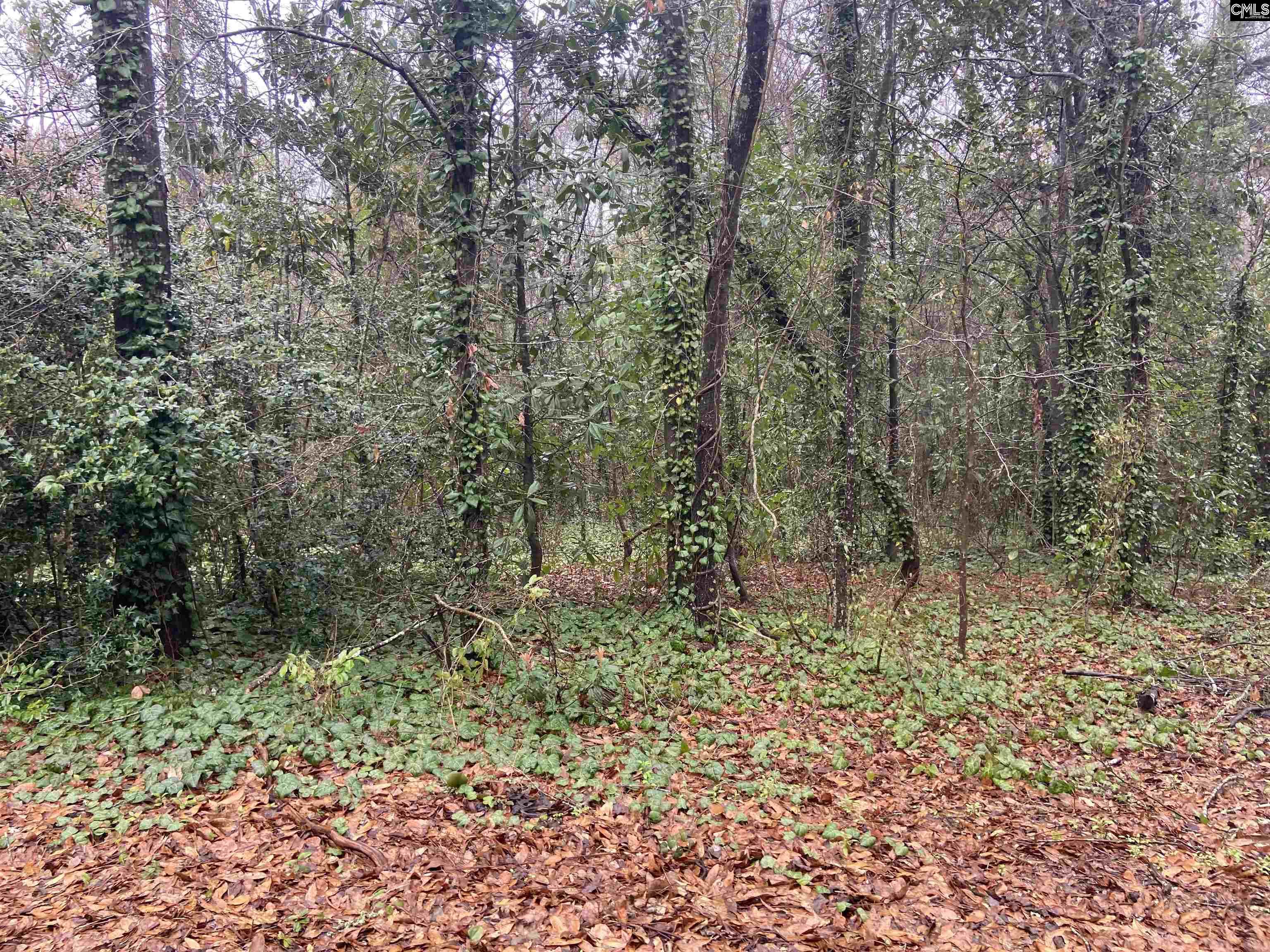 1951 Forest Drive Camden, SC 29020-0000