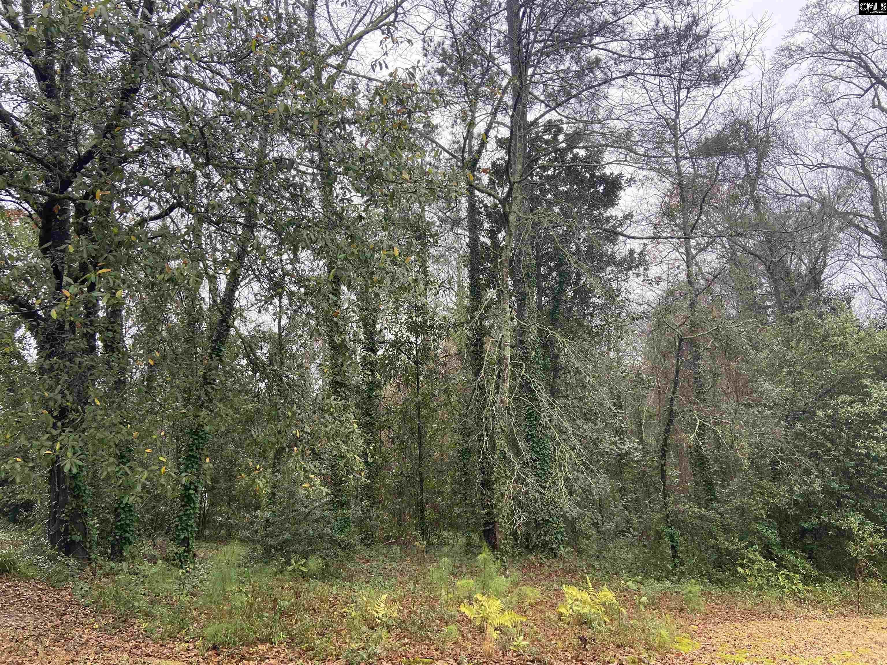 1951 Forest Drive Camden, SC 29020-0000