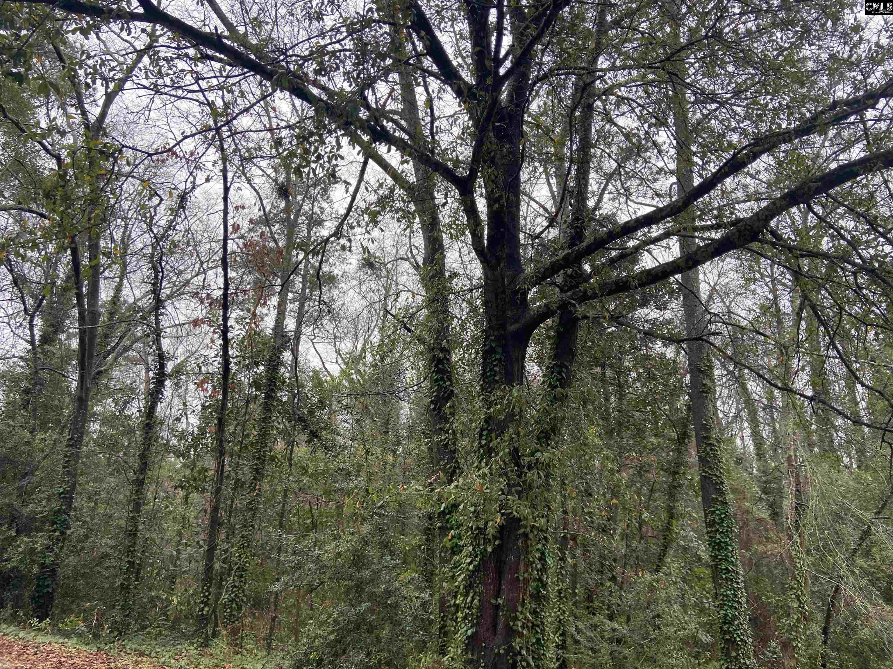 1951 Forest Drive Camden, SC 29020-0000