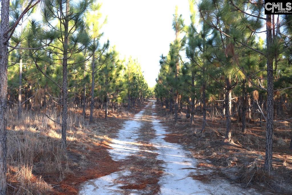 Holstein Road Wagener, SC 29164