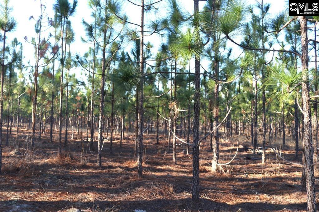 Holstein Road Wagener, SC 29164